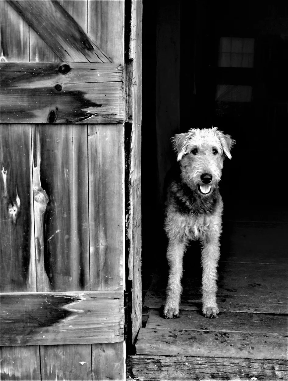 Entry 22765533