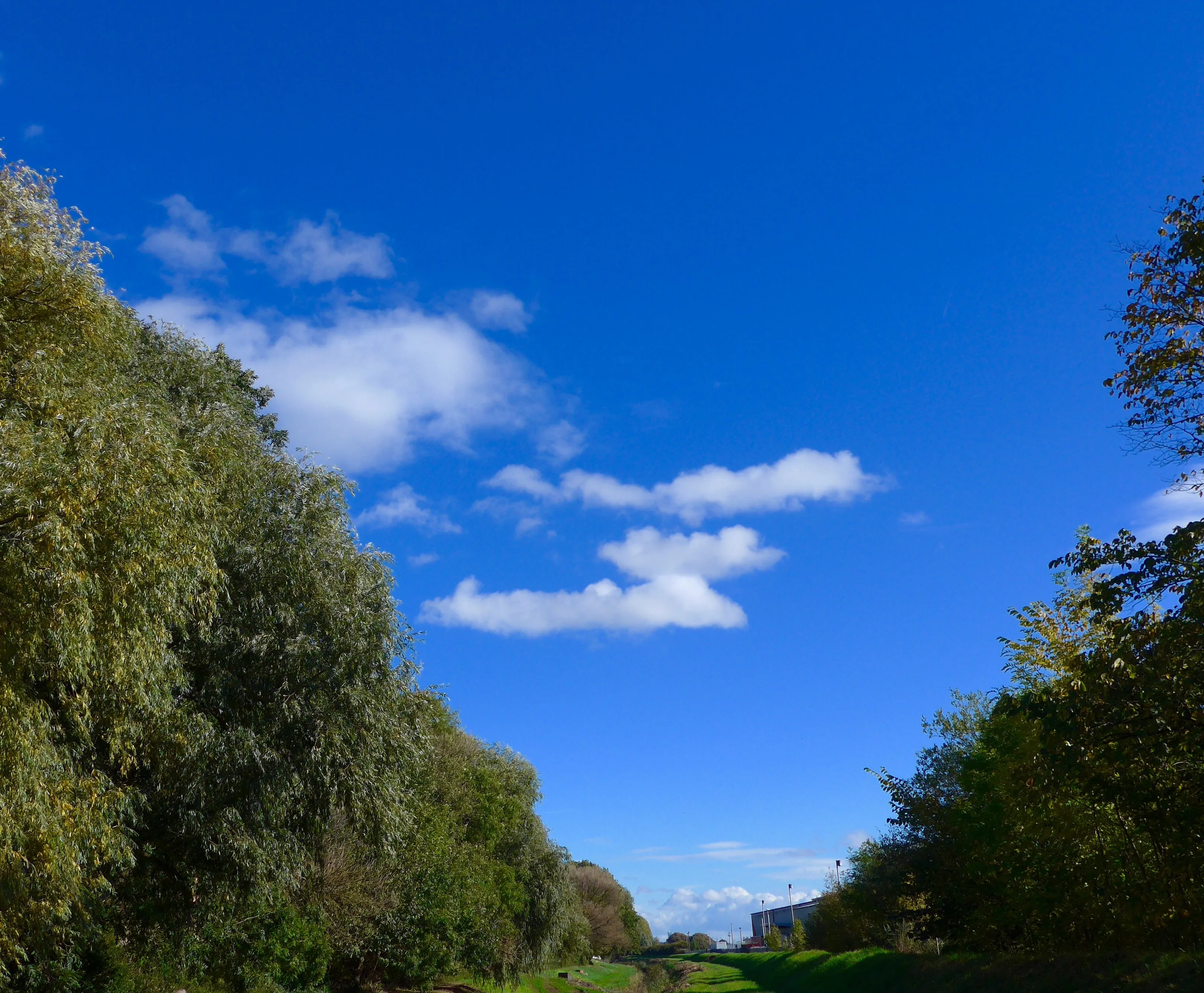 Sky in V
