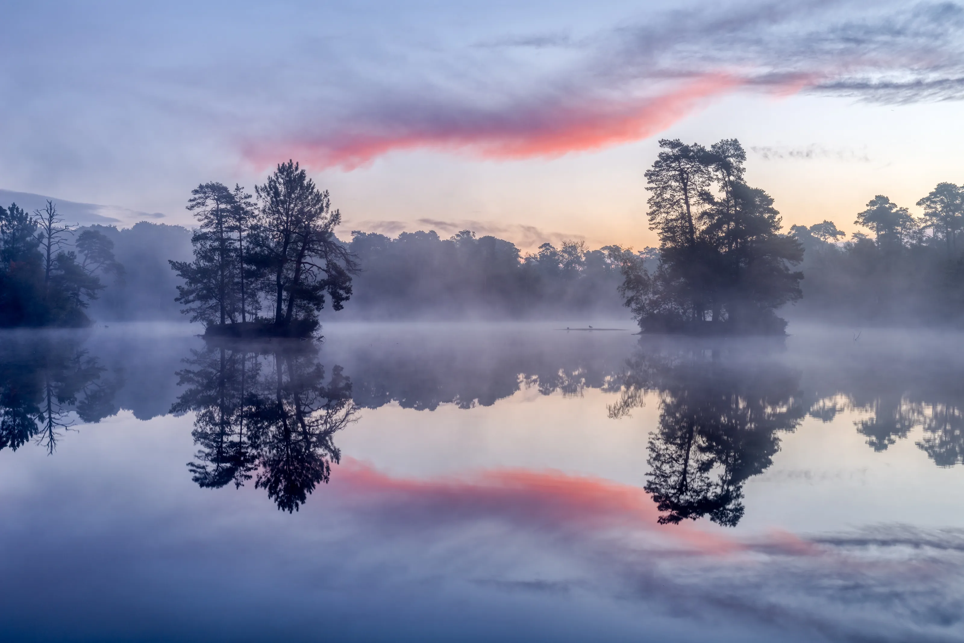 Mist at break of dawn