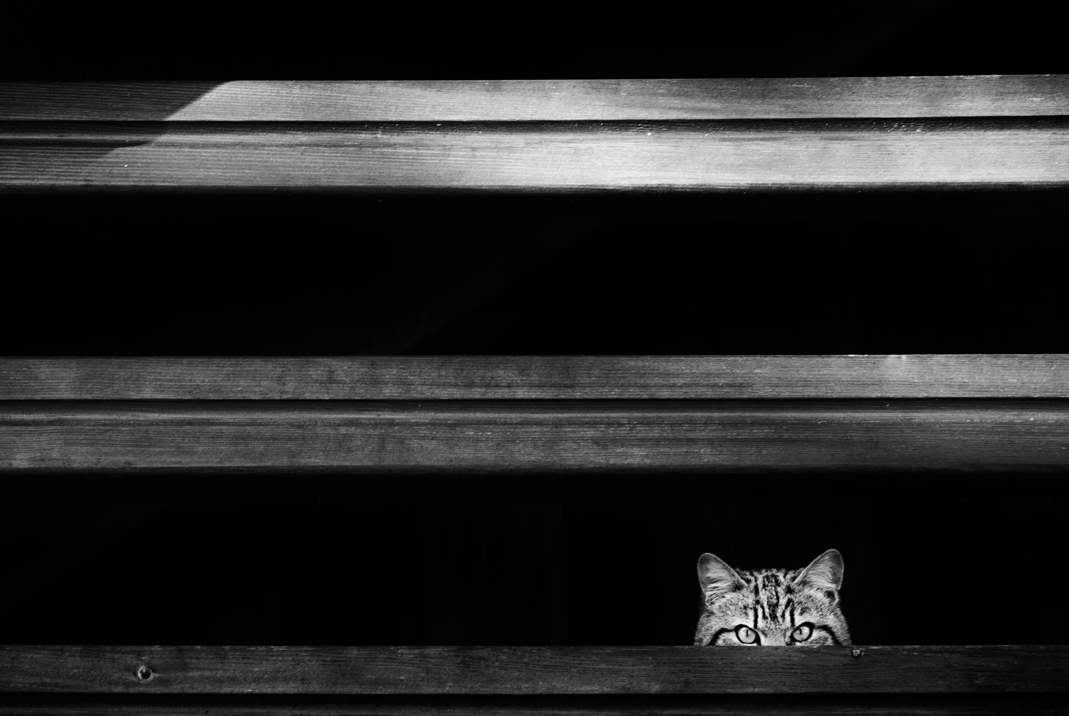 I just watching you