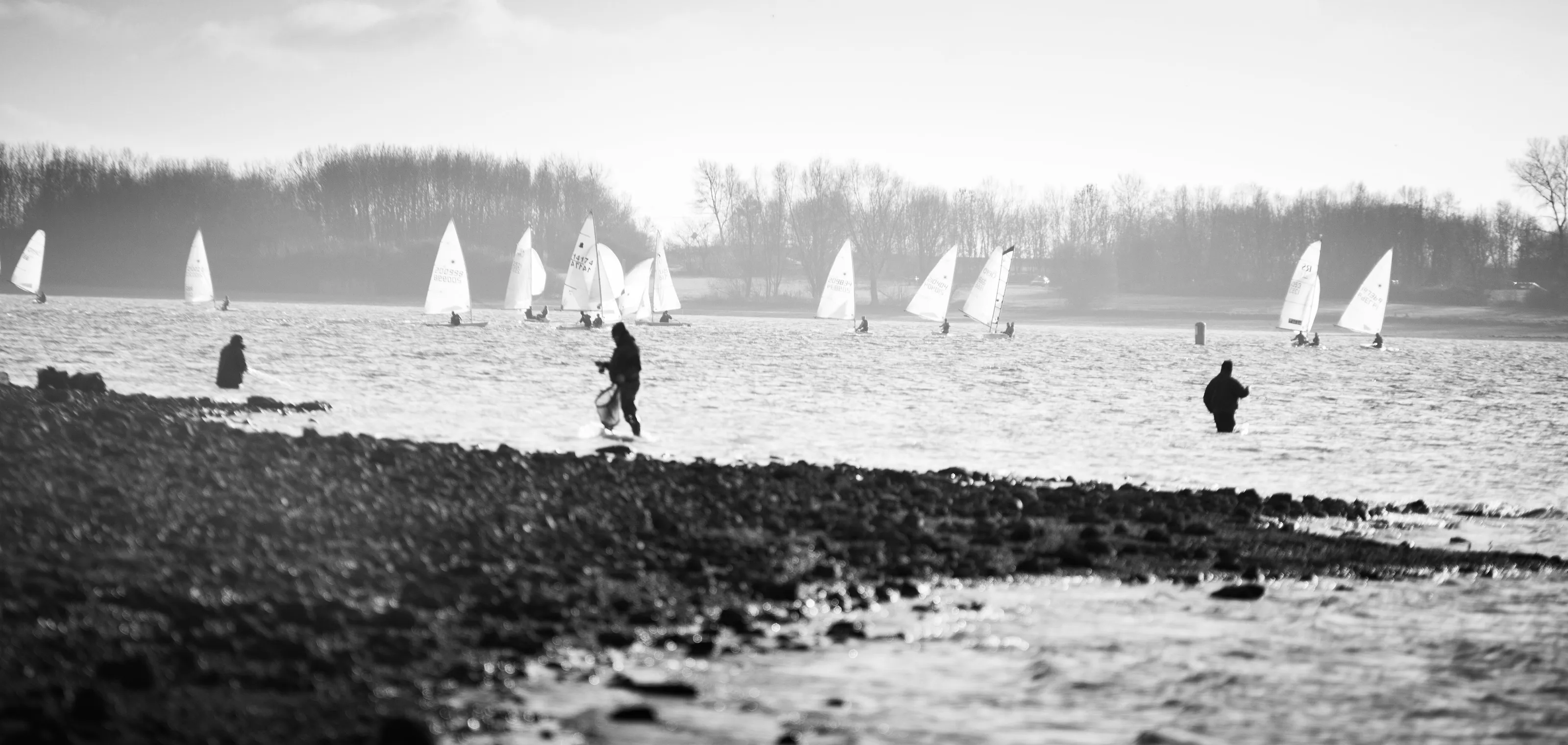 Windy day by the lake
