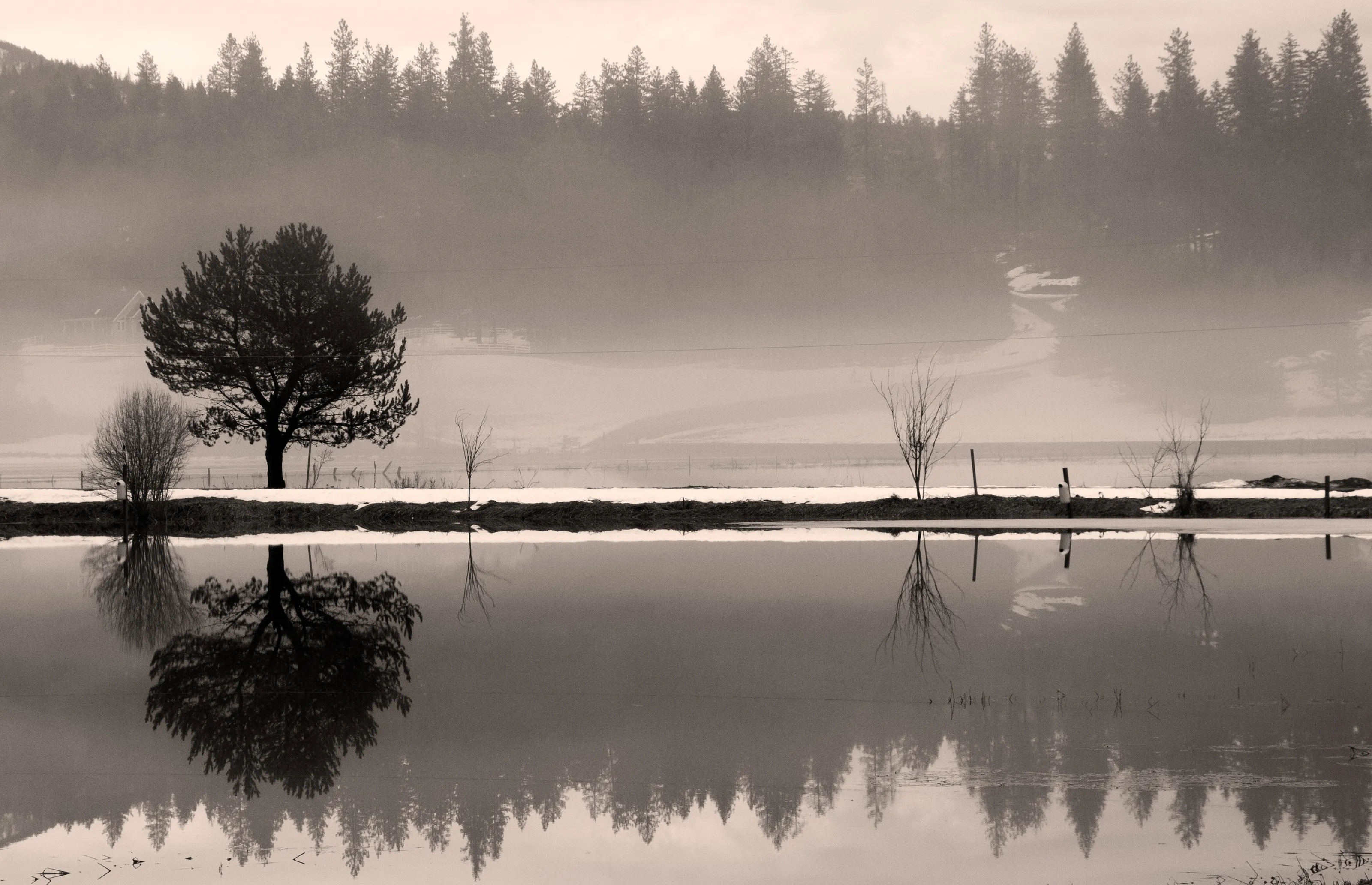 Reflect