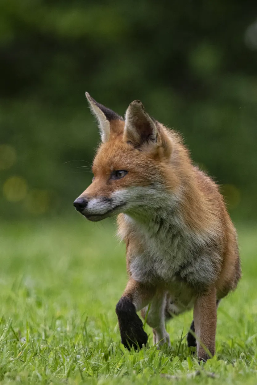 Entry 12552722