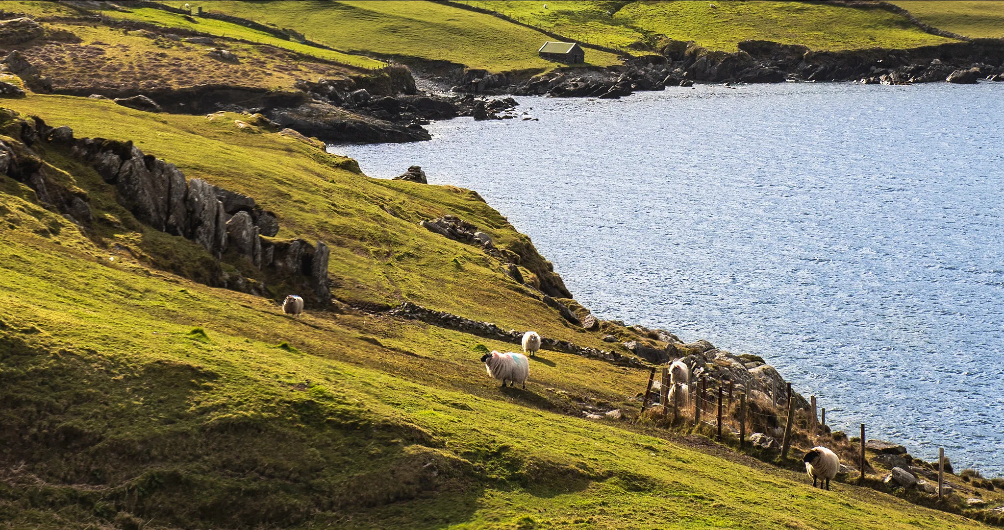 West Cork