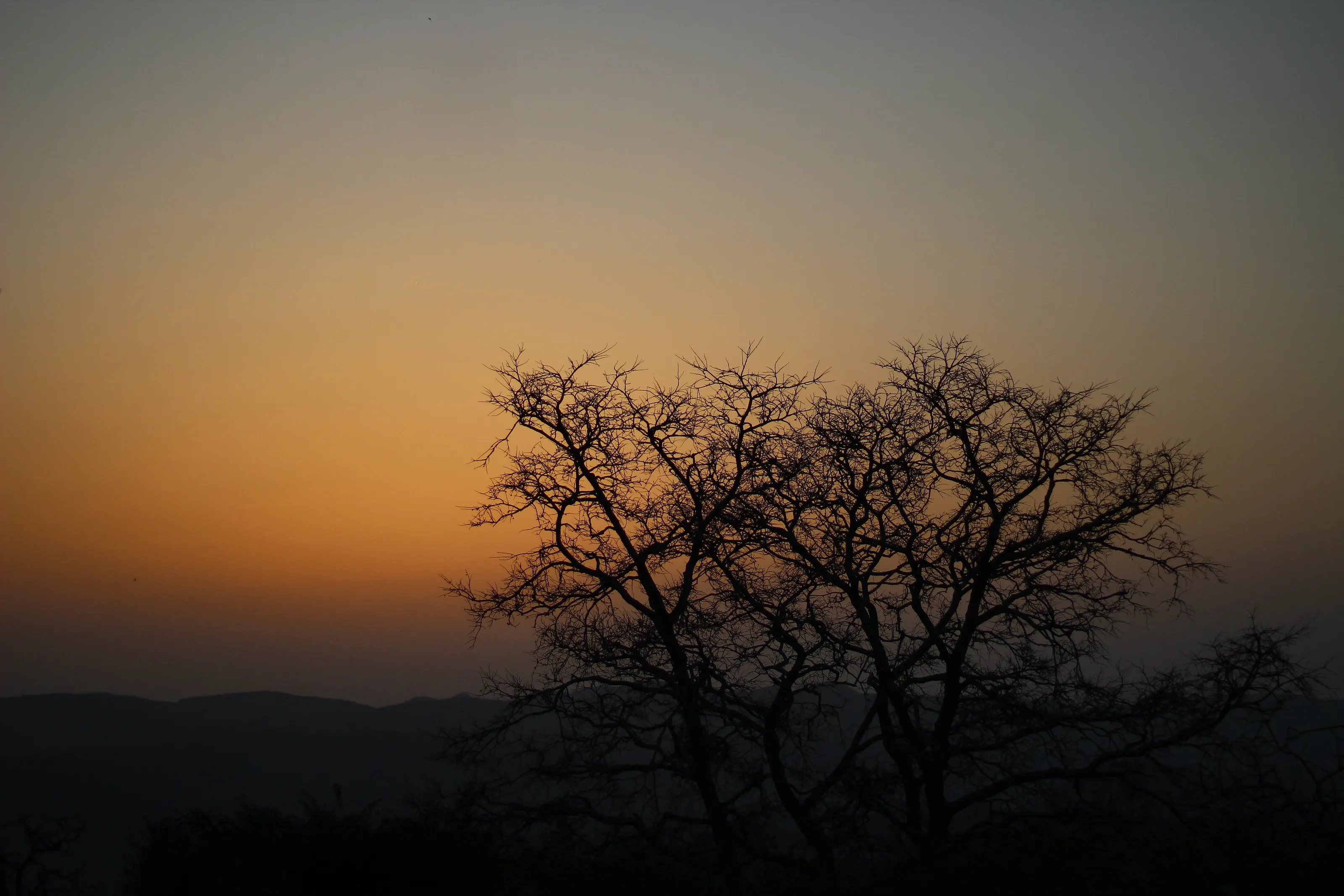 The Sunset Drama