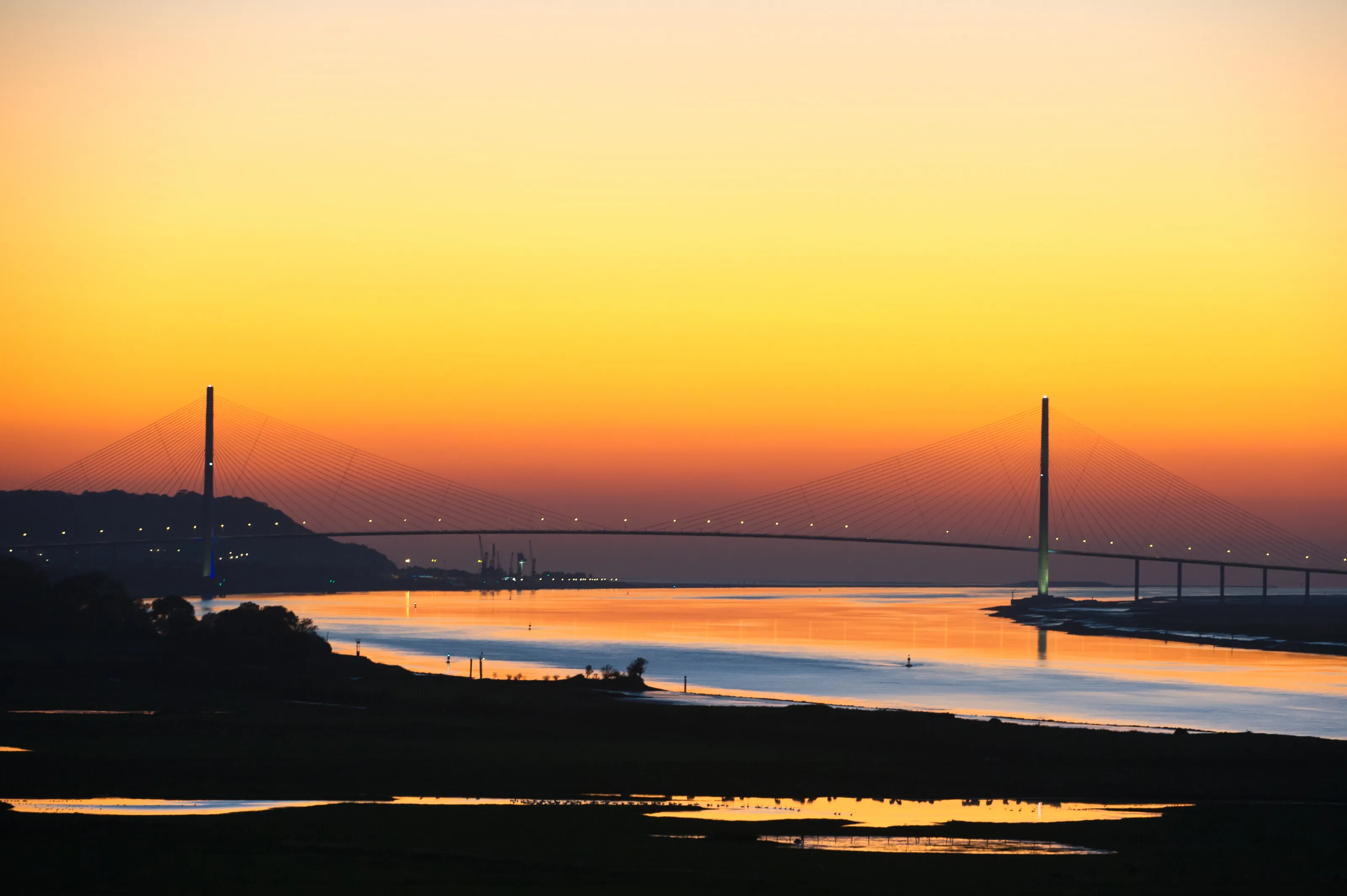 Pont de Normandie and the Seine estuary
