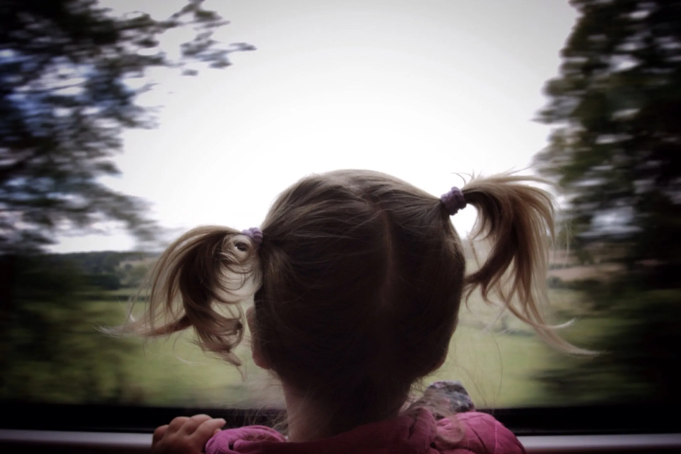 Train trip