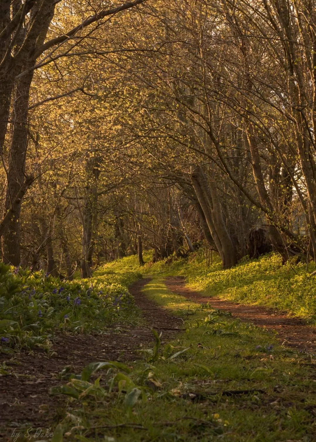 The welcome walk