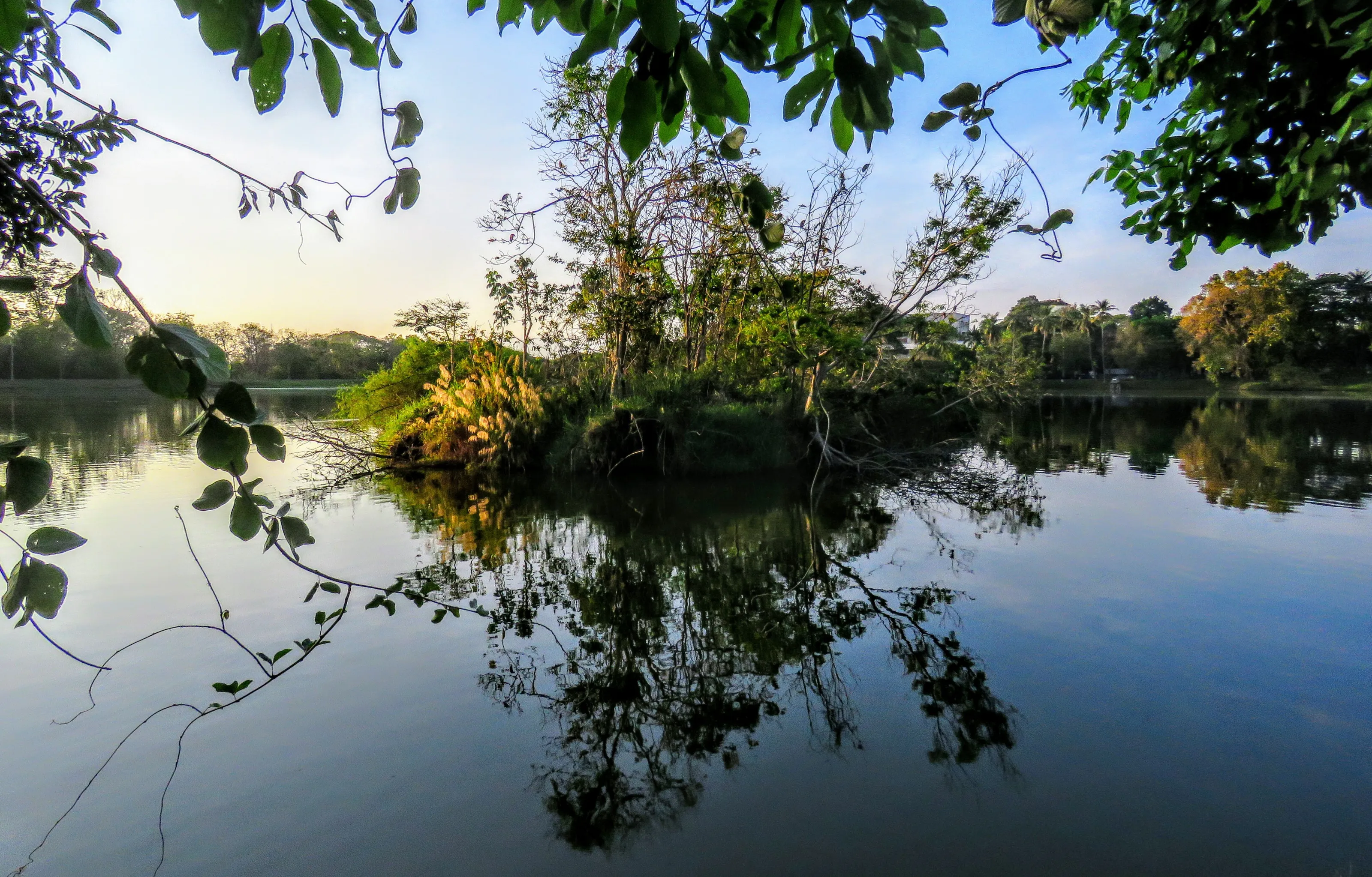 Reflections