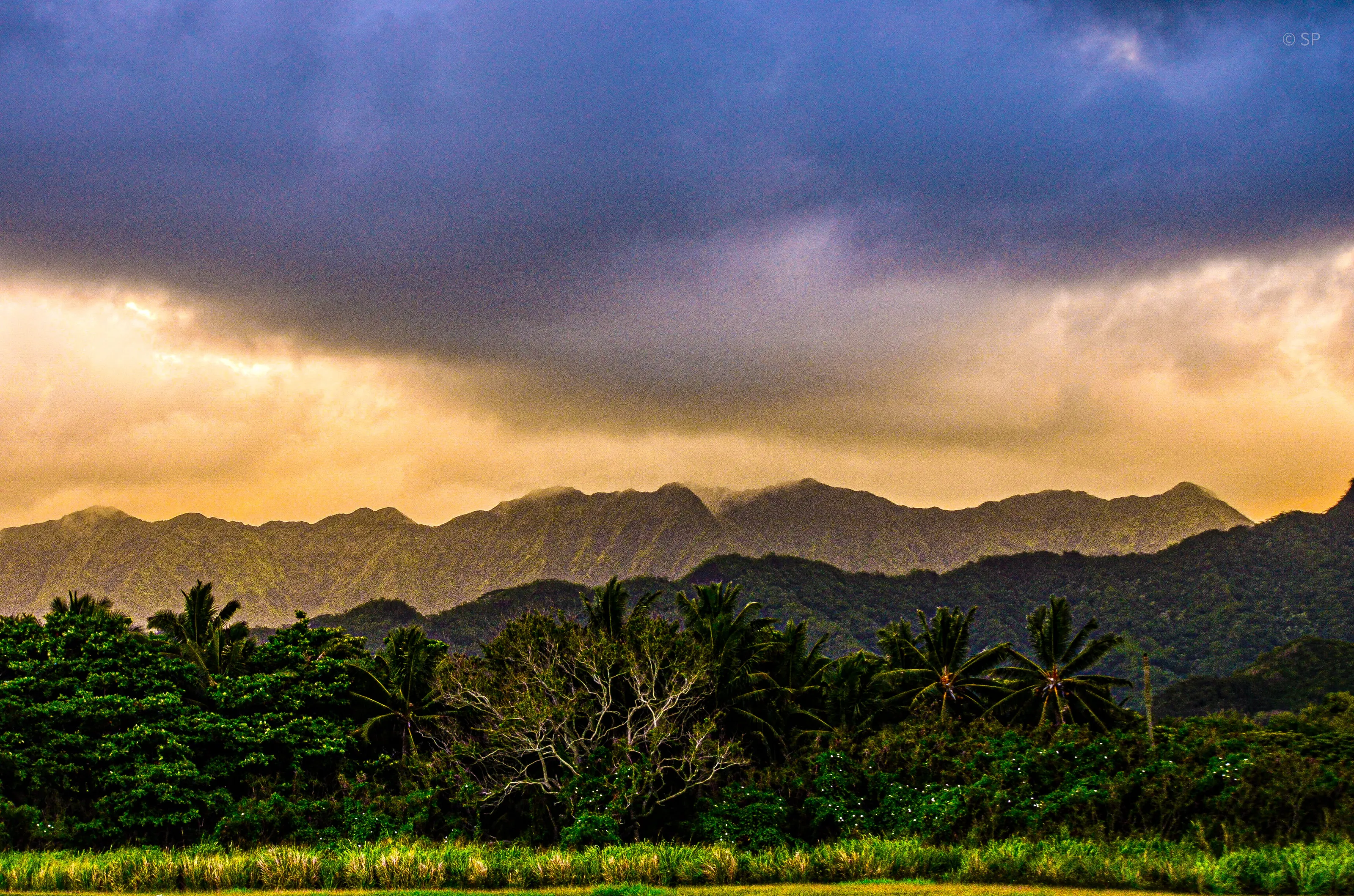 Hawaii escape