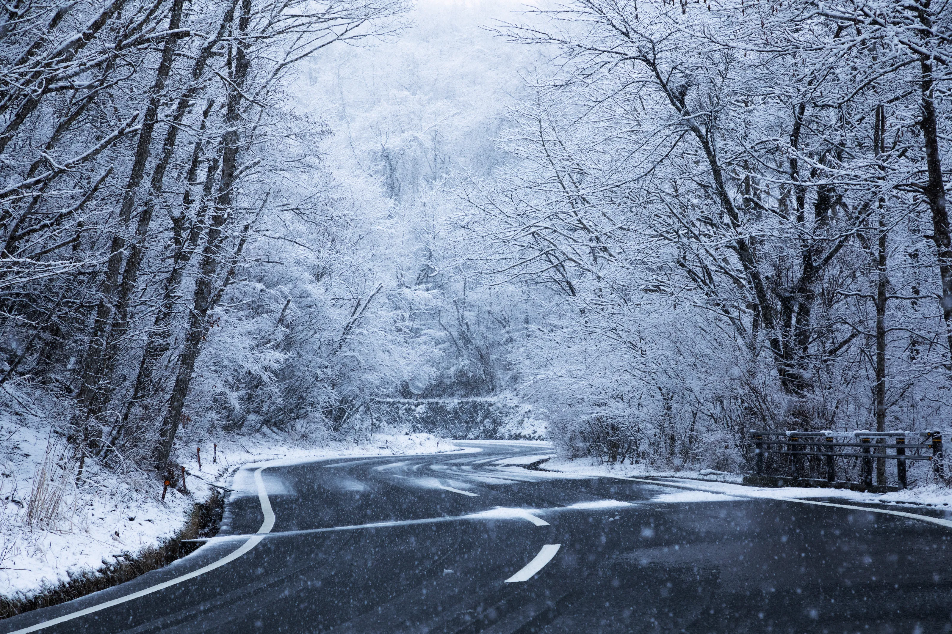 Winter Wonderland