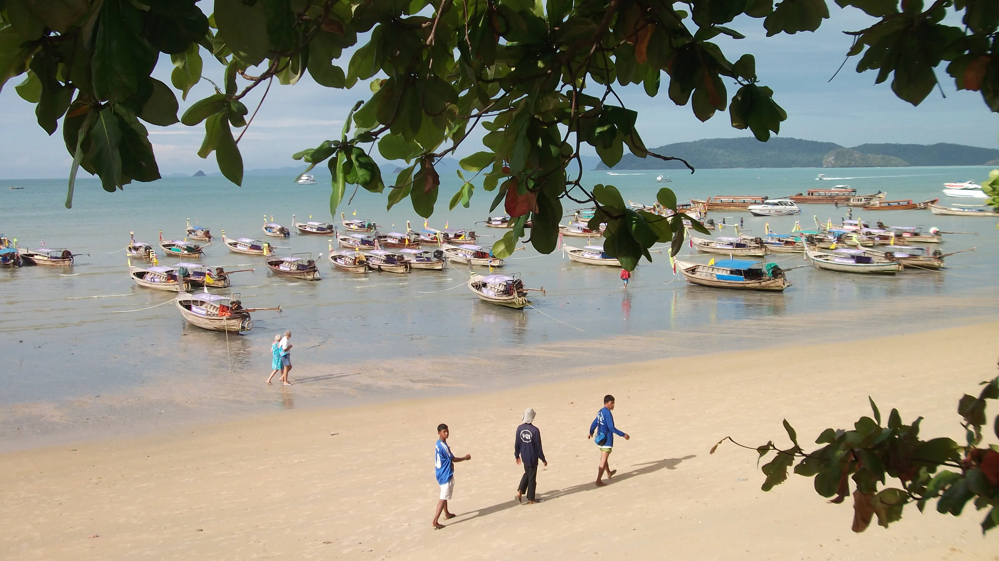 Tree-Framed Thai Beach