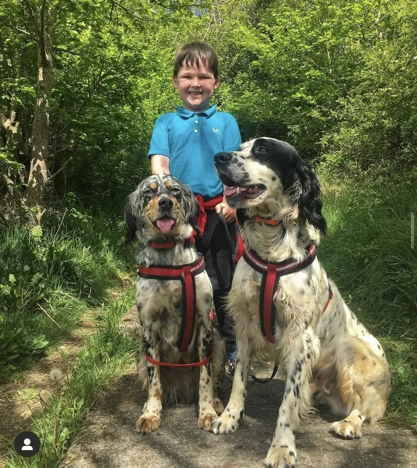 Boys best friends