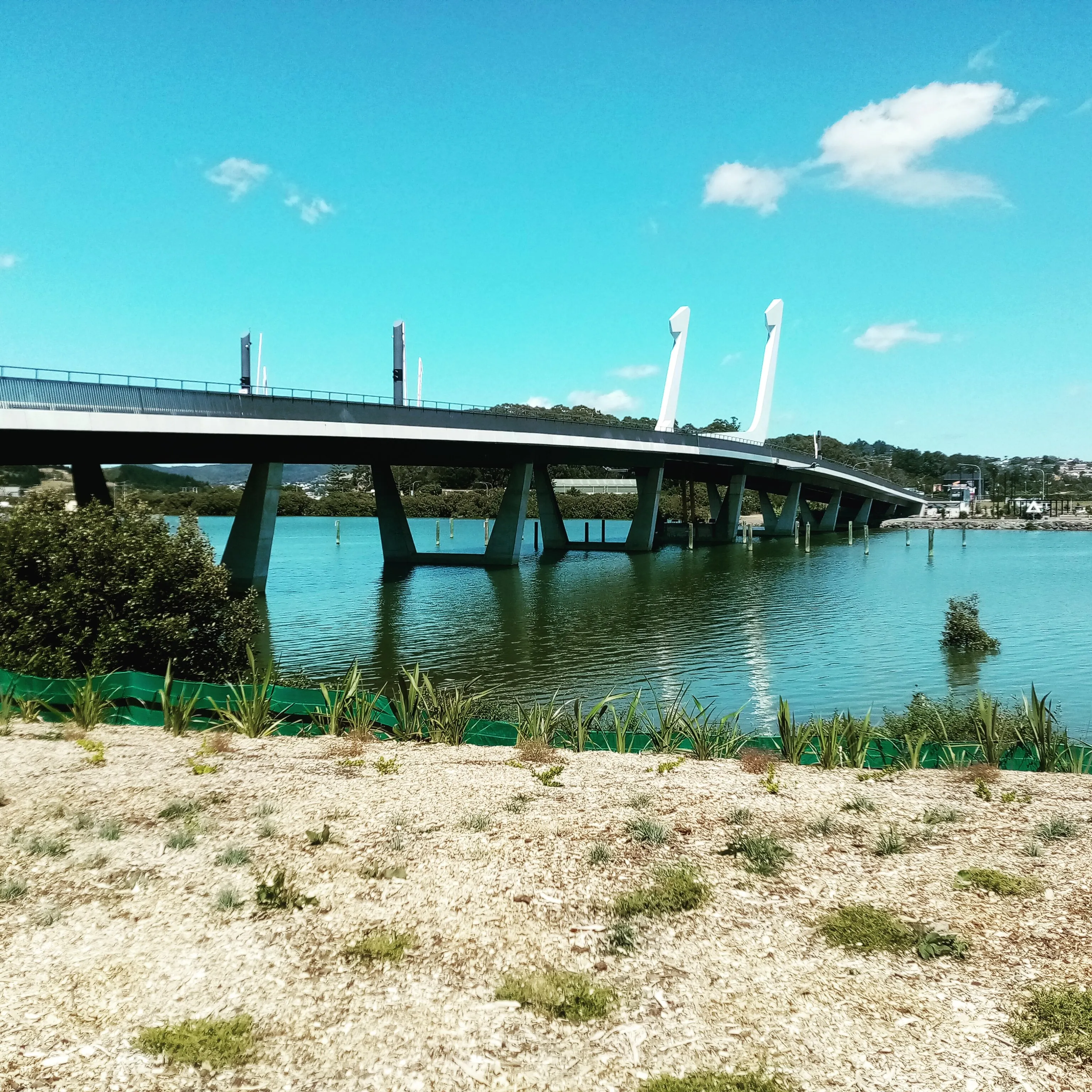 Te Pohe Island Bridge