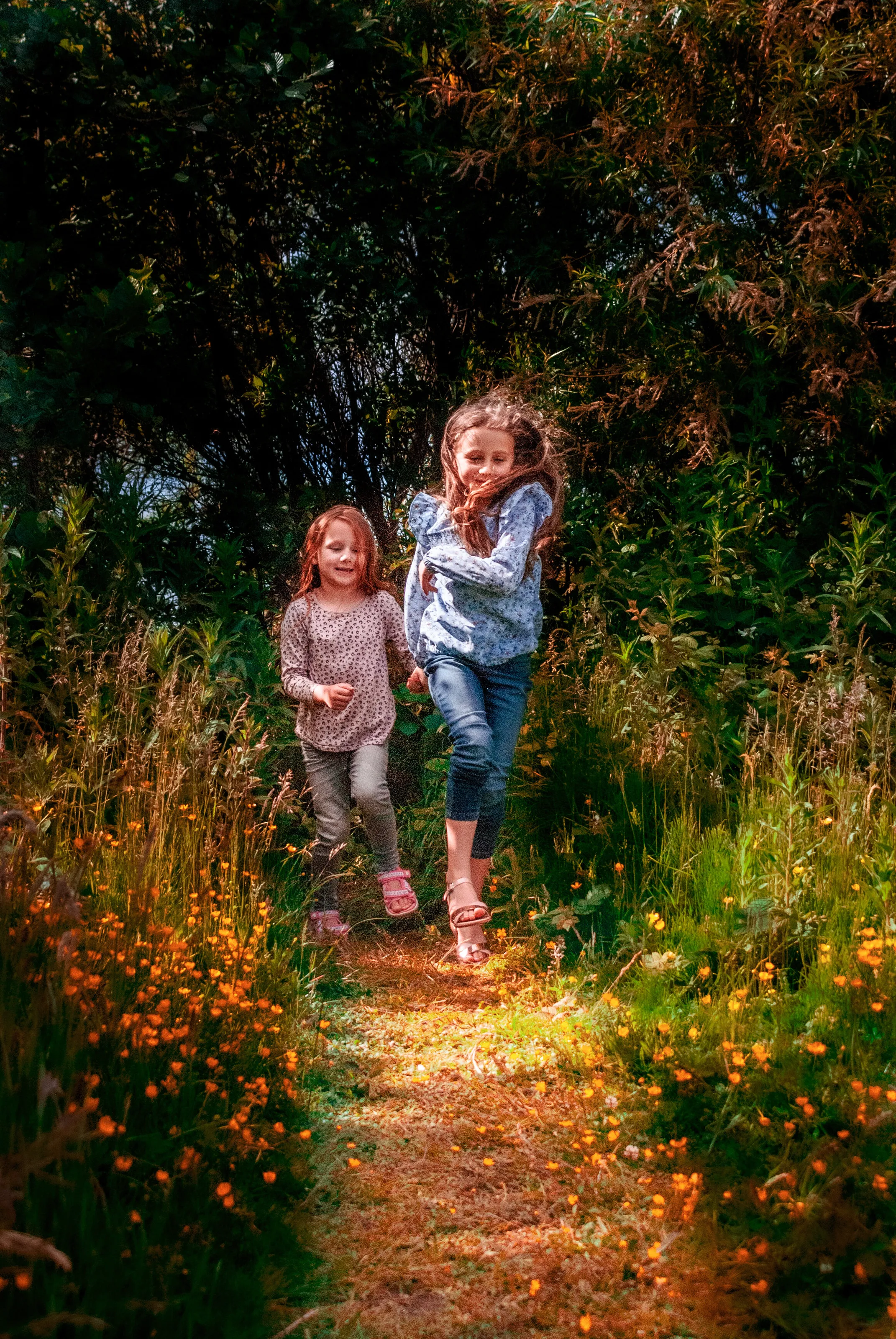 Forest path