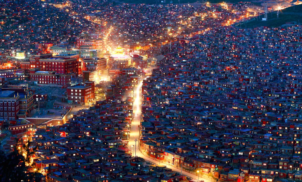 Entry 11220292