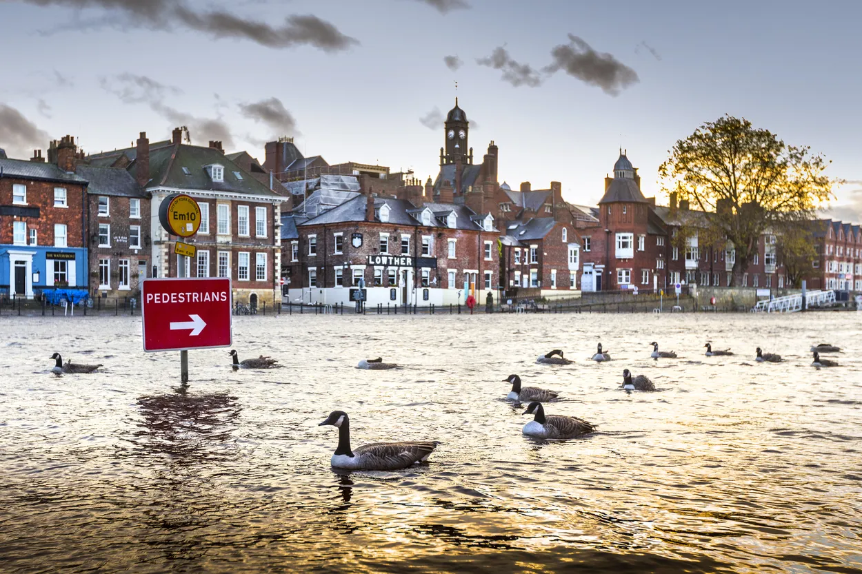 Entry 9762812
