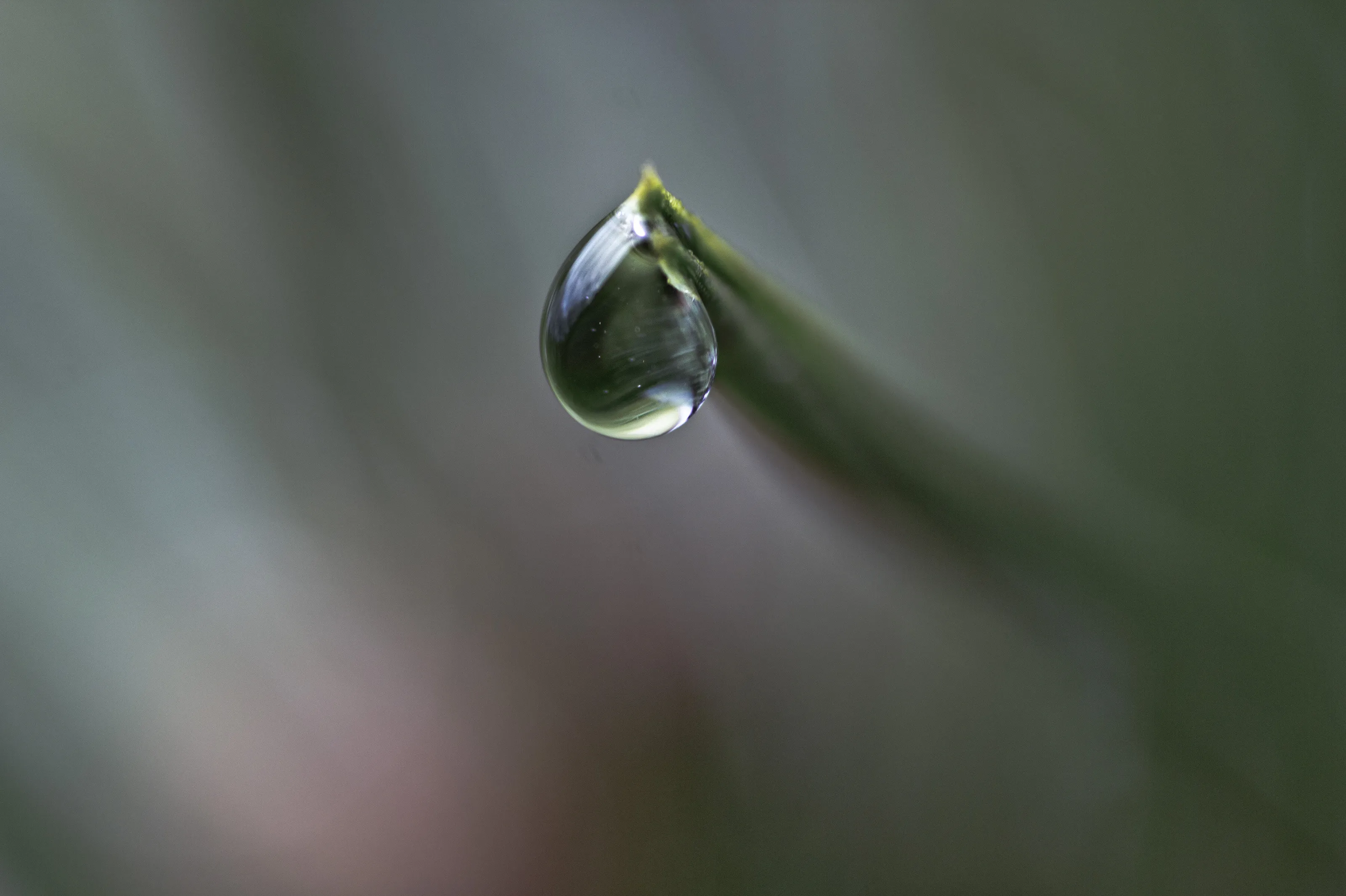 Tiny world