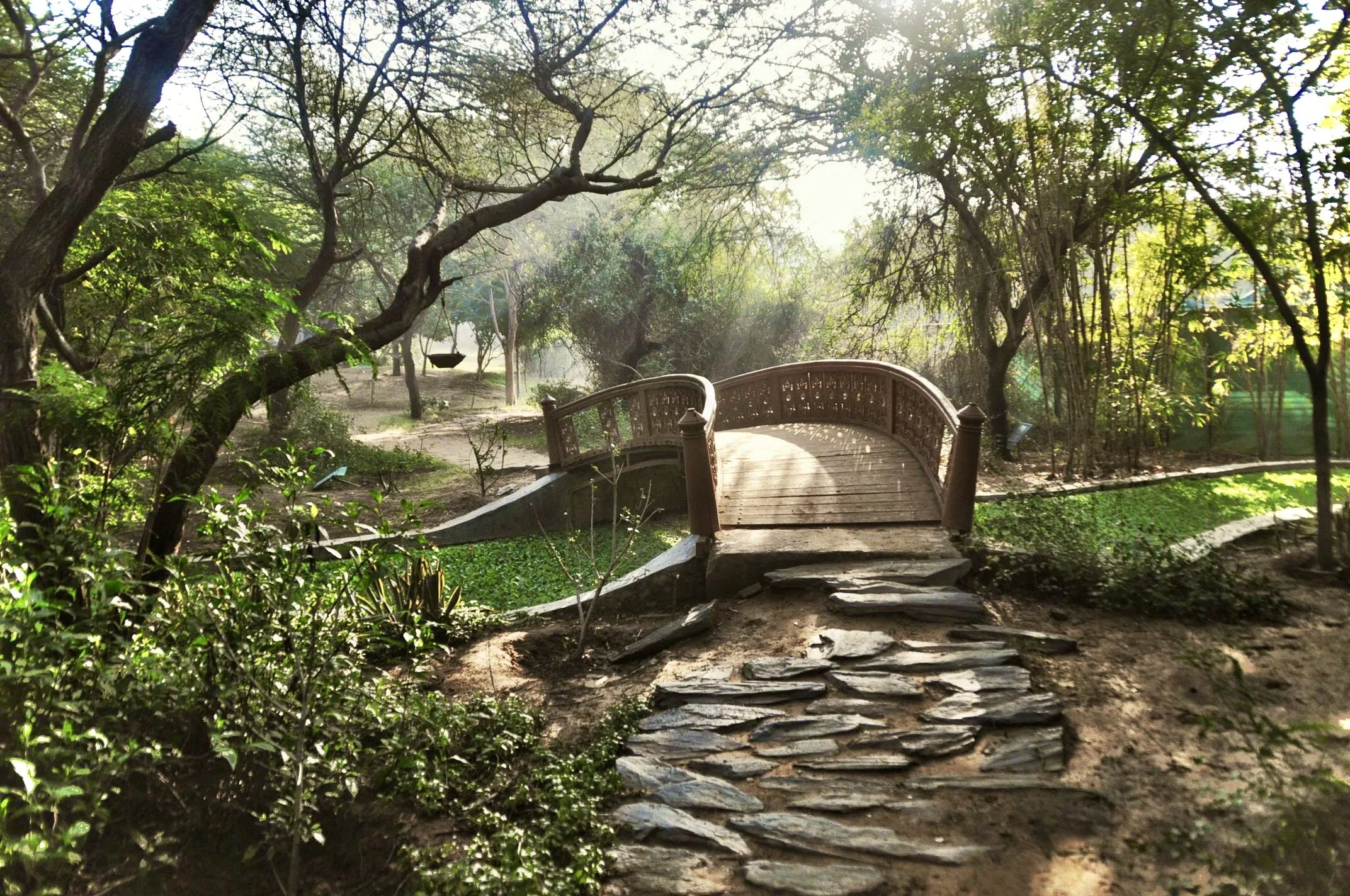 Garden