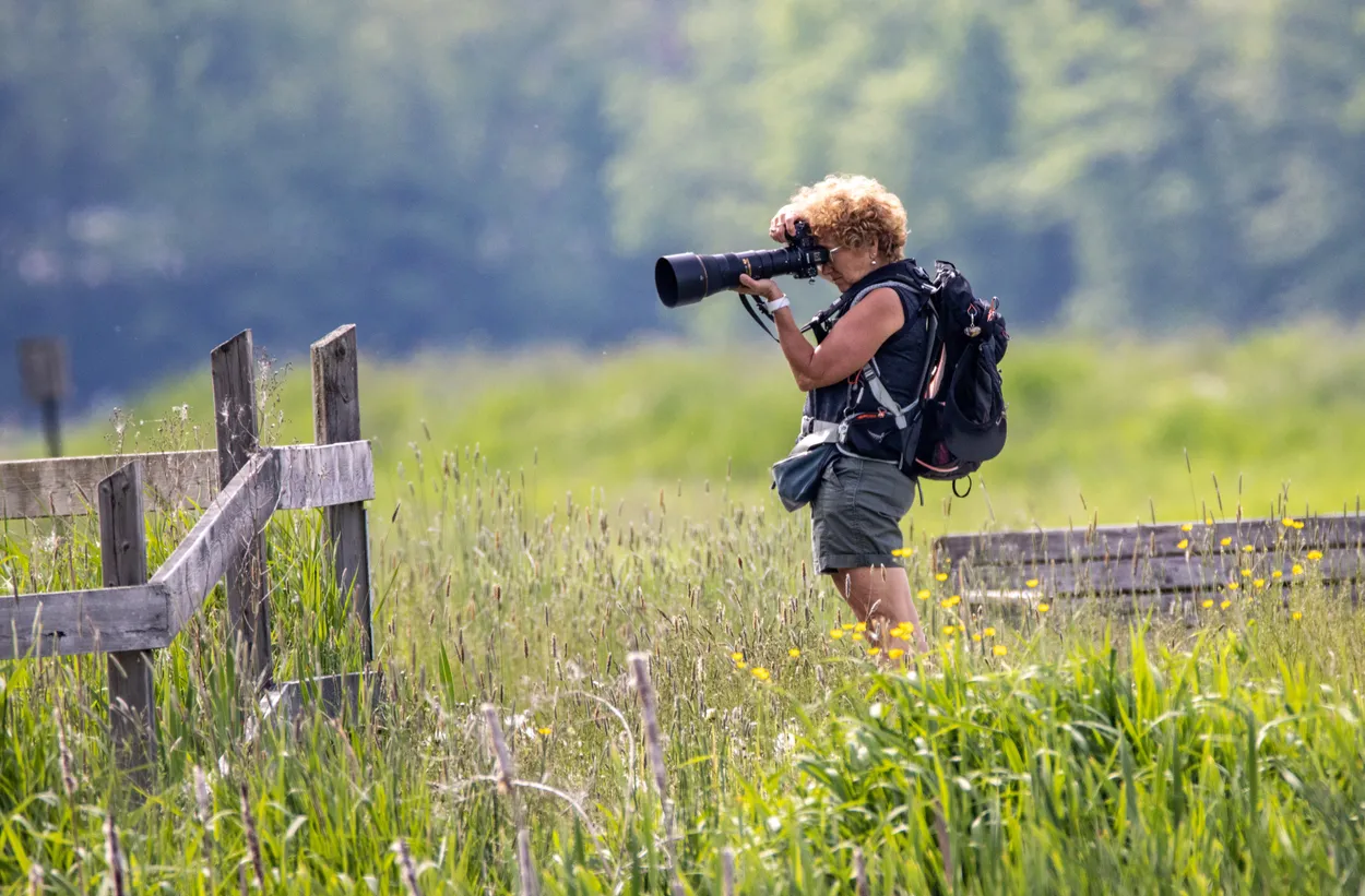 Entry 13726768