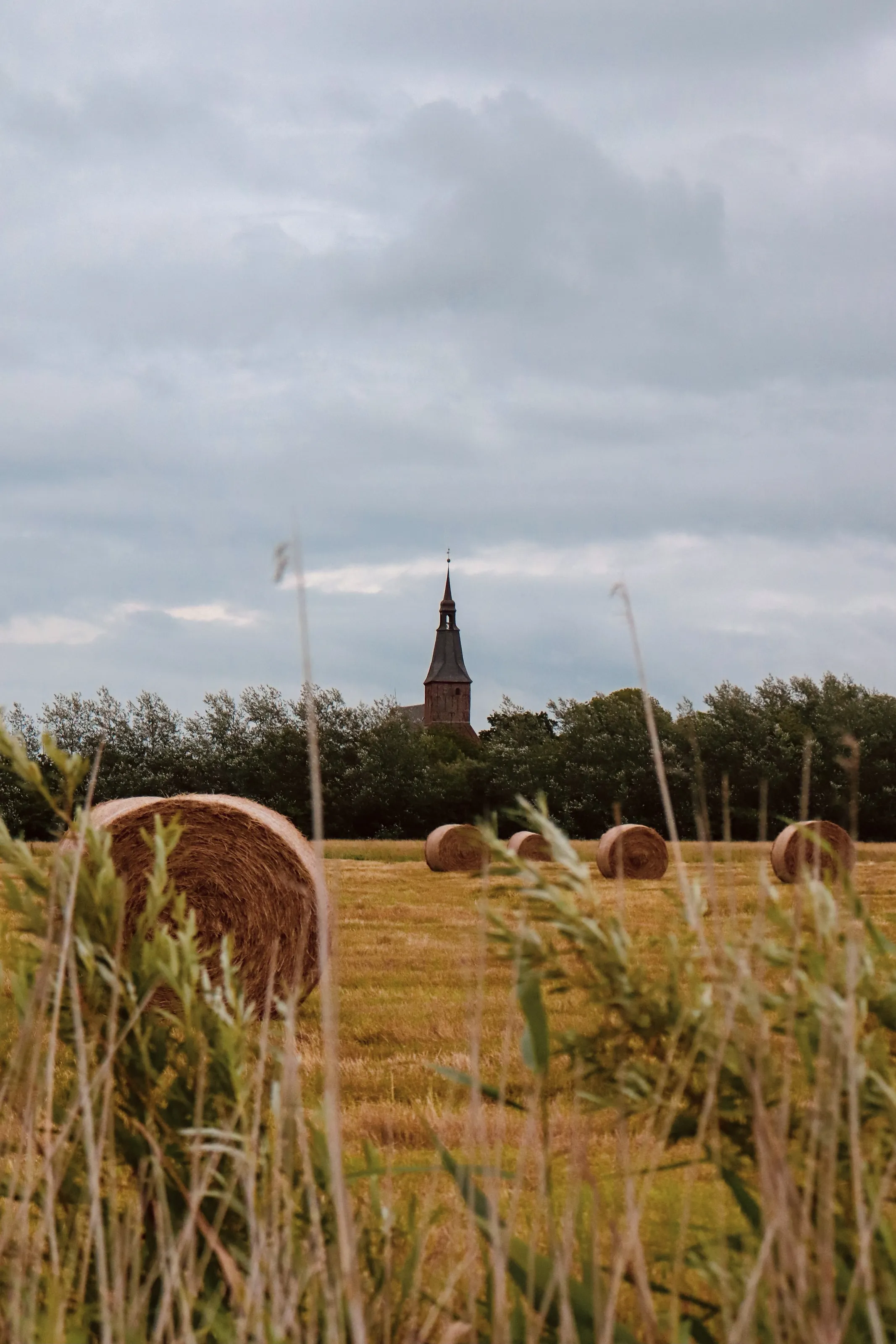 A field at the Northsea 🗺