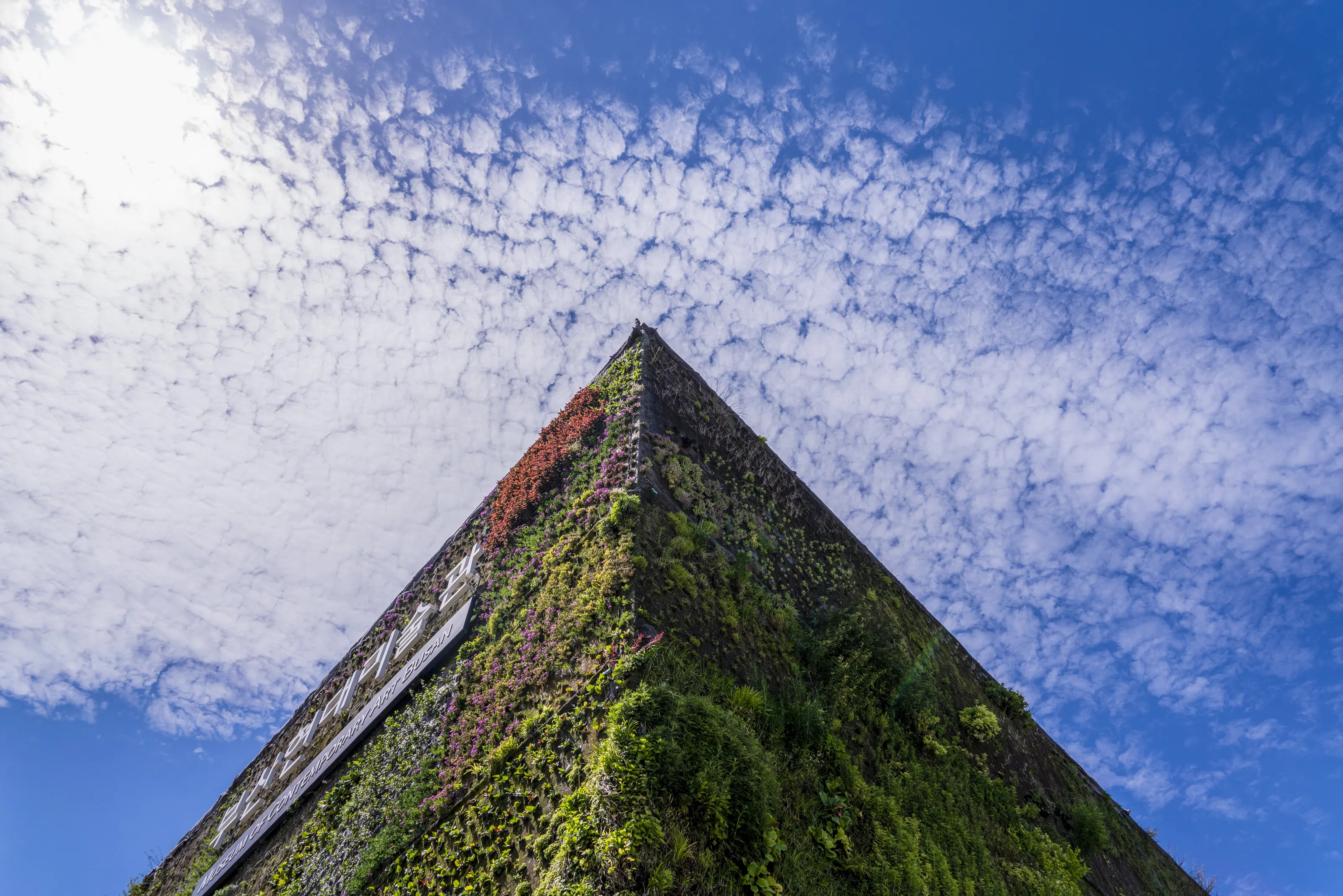 Museum of Contemporary Art Busan and the Sky
