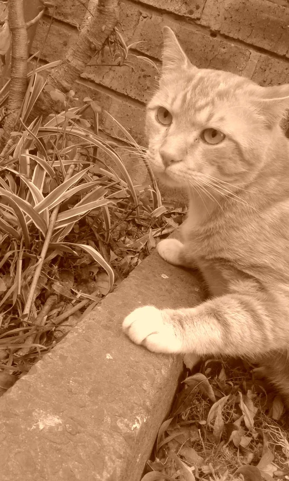 Looking for something