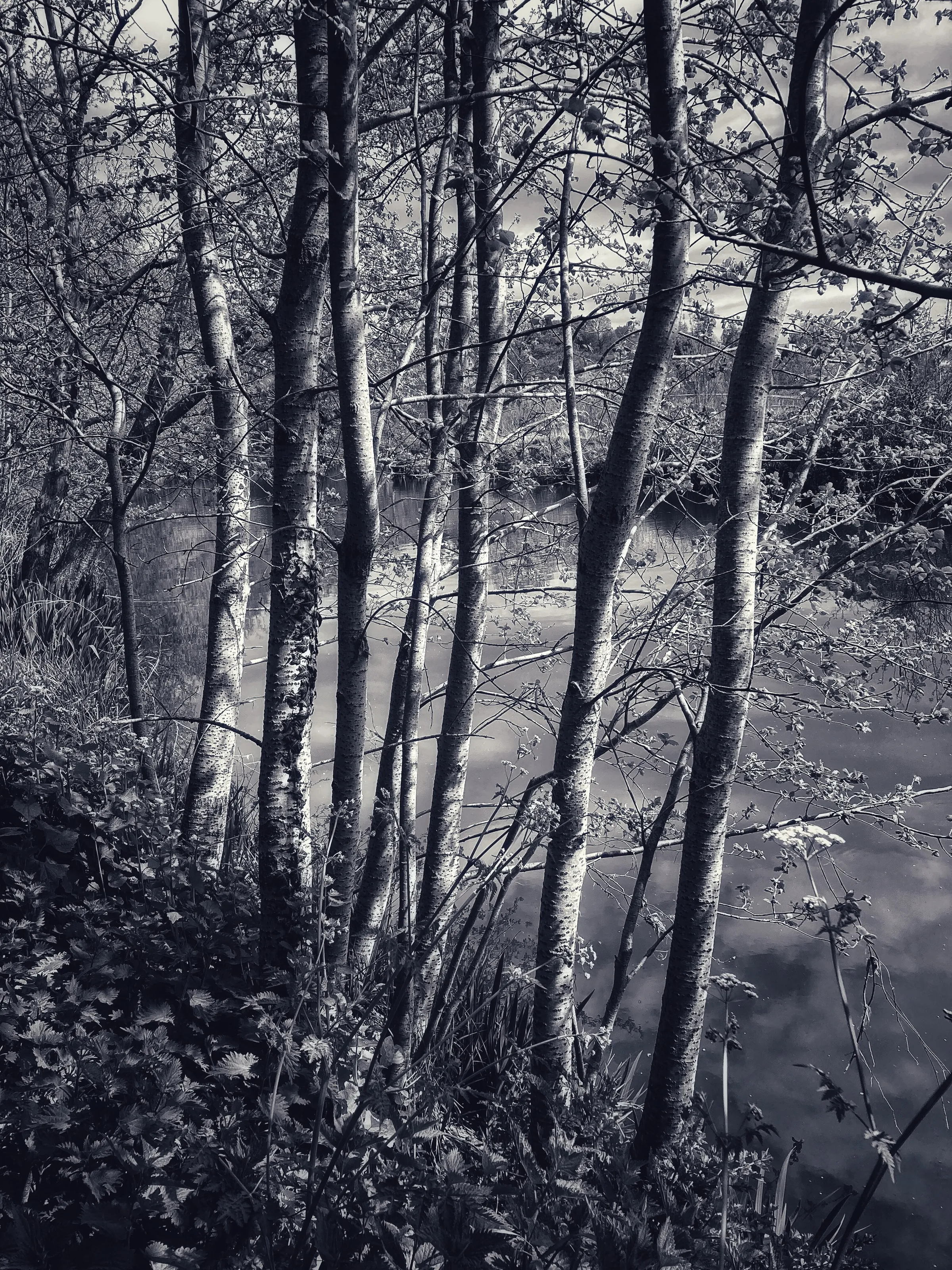 River
