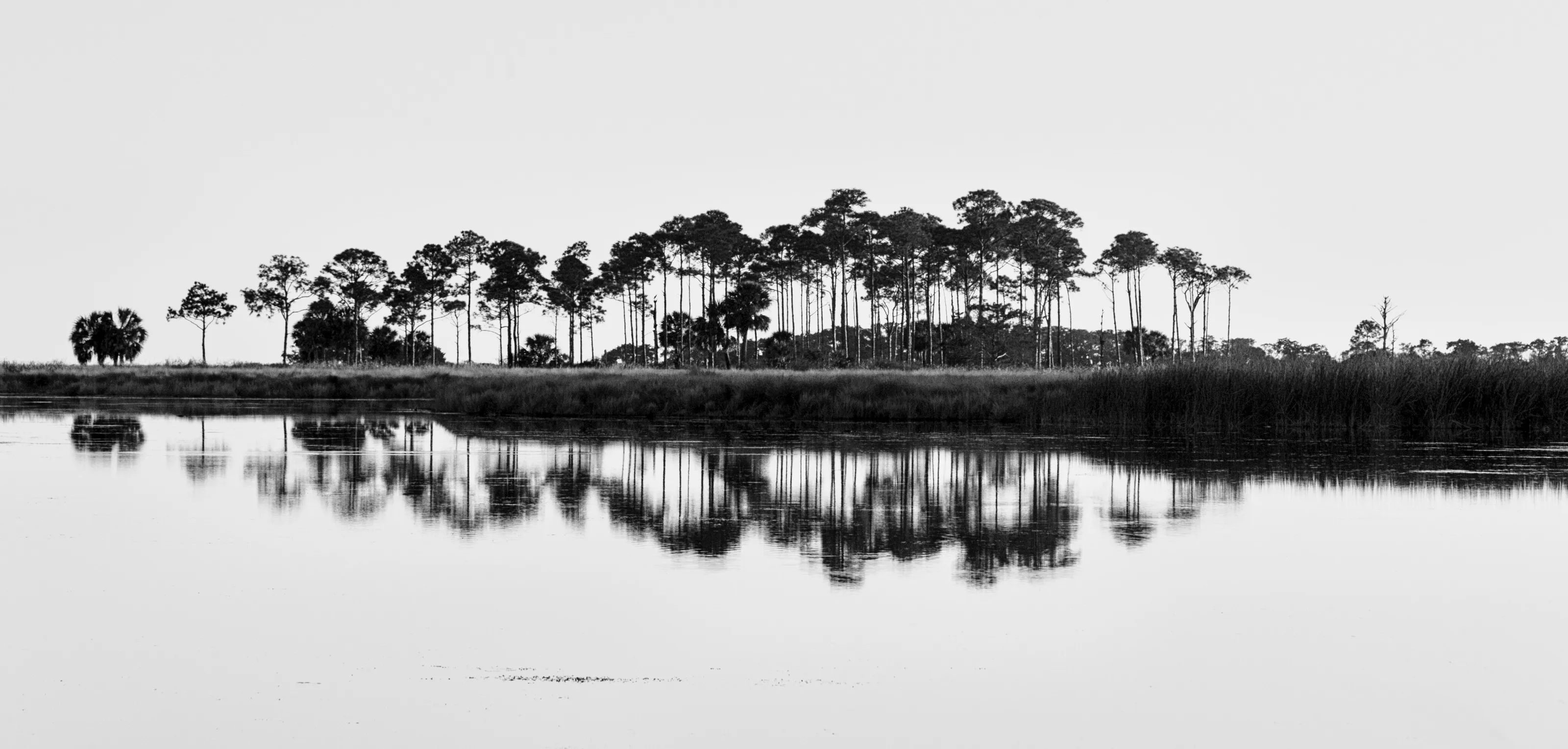 Reflected trees