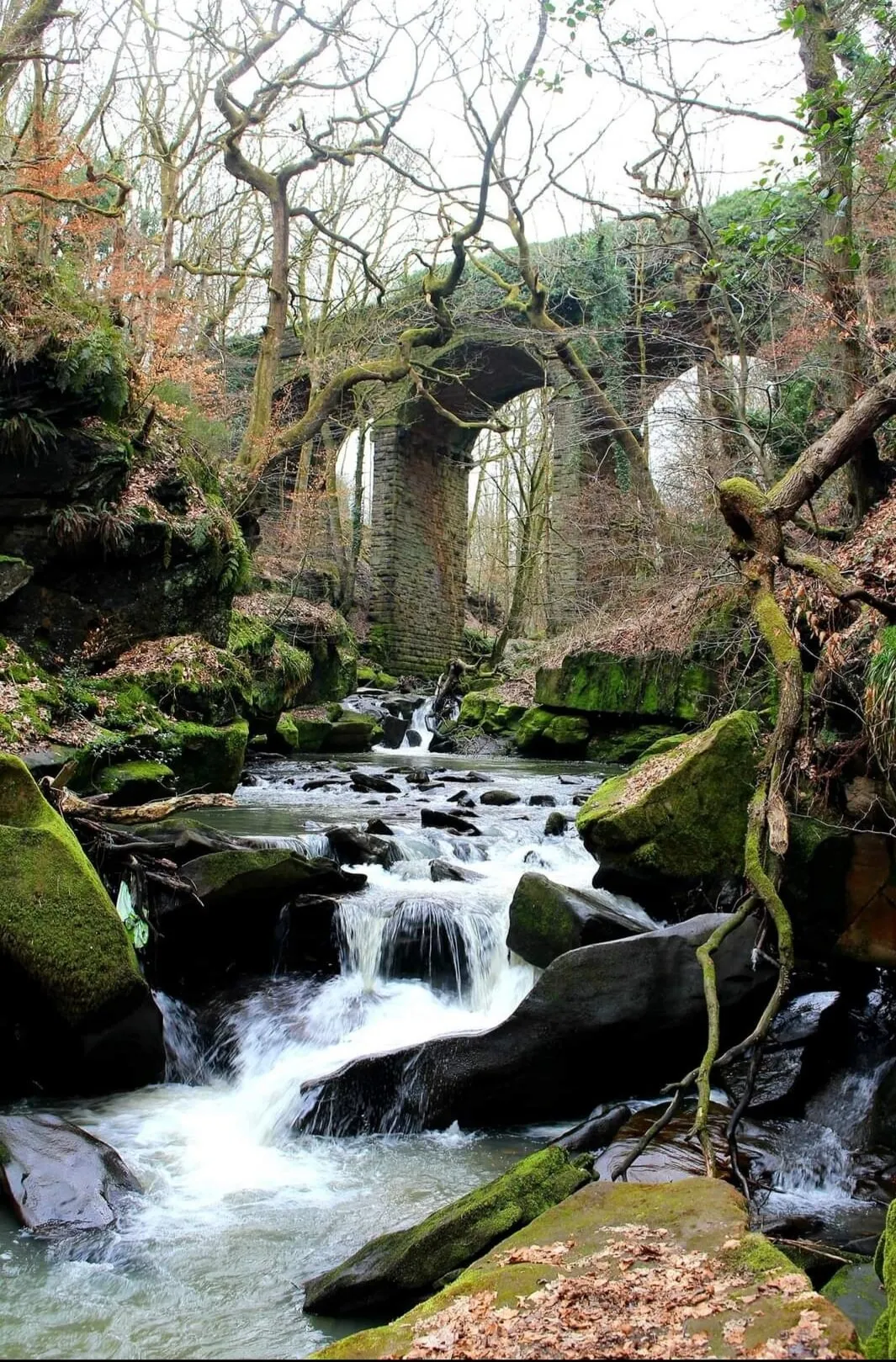 Fairy Chapel Healey Dell