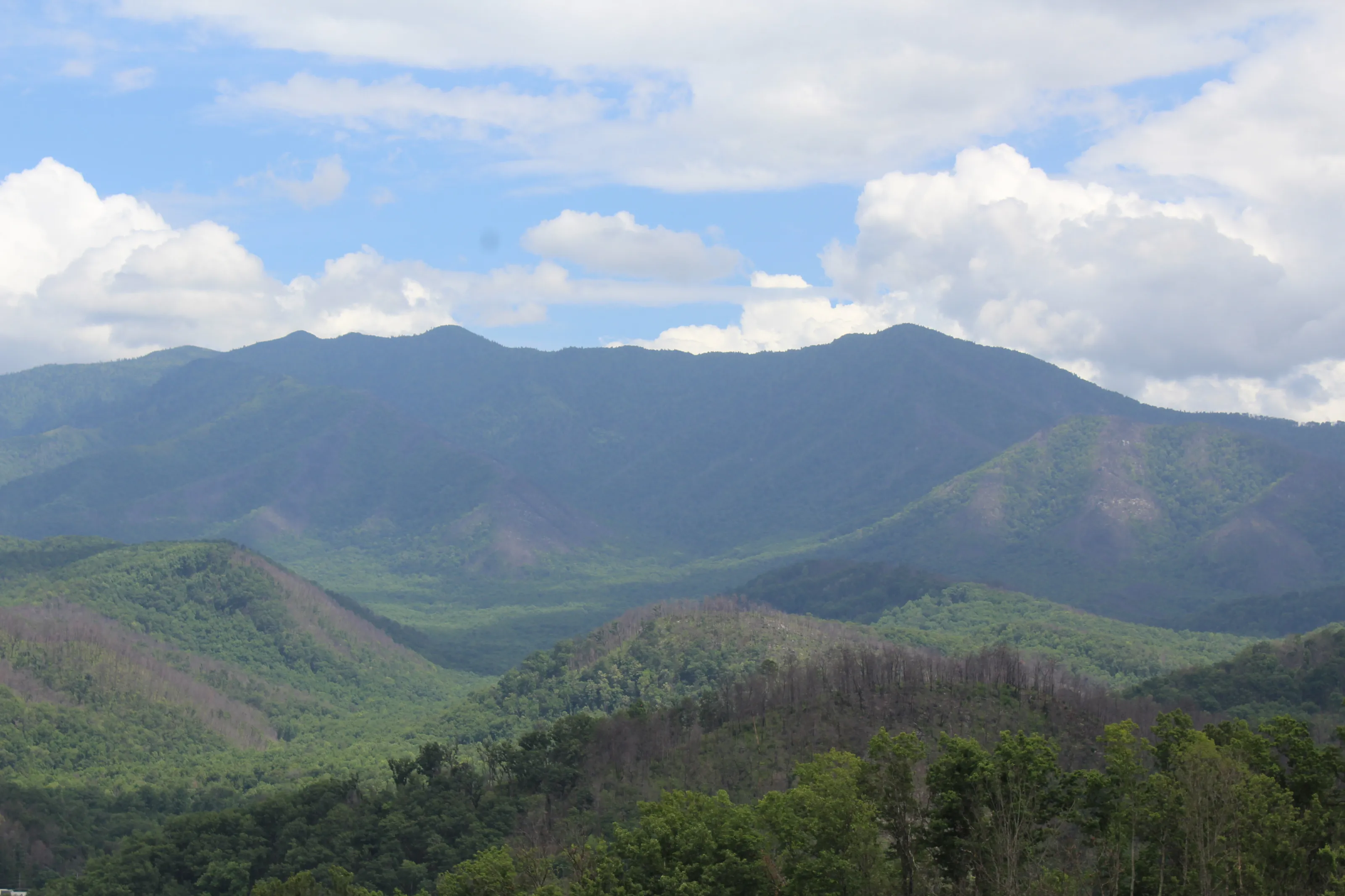 GREAT Smokey Mountains