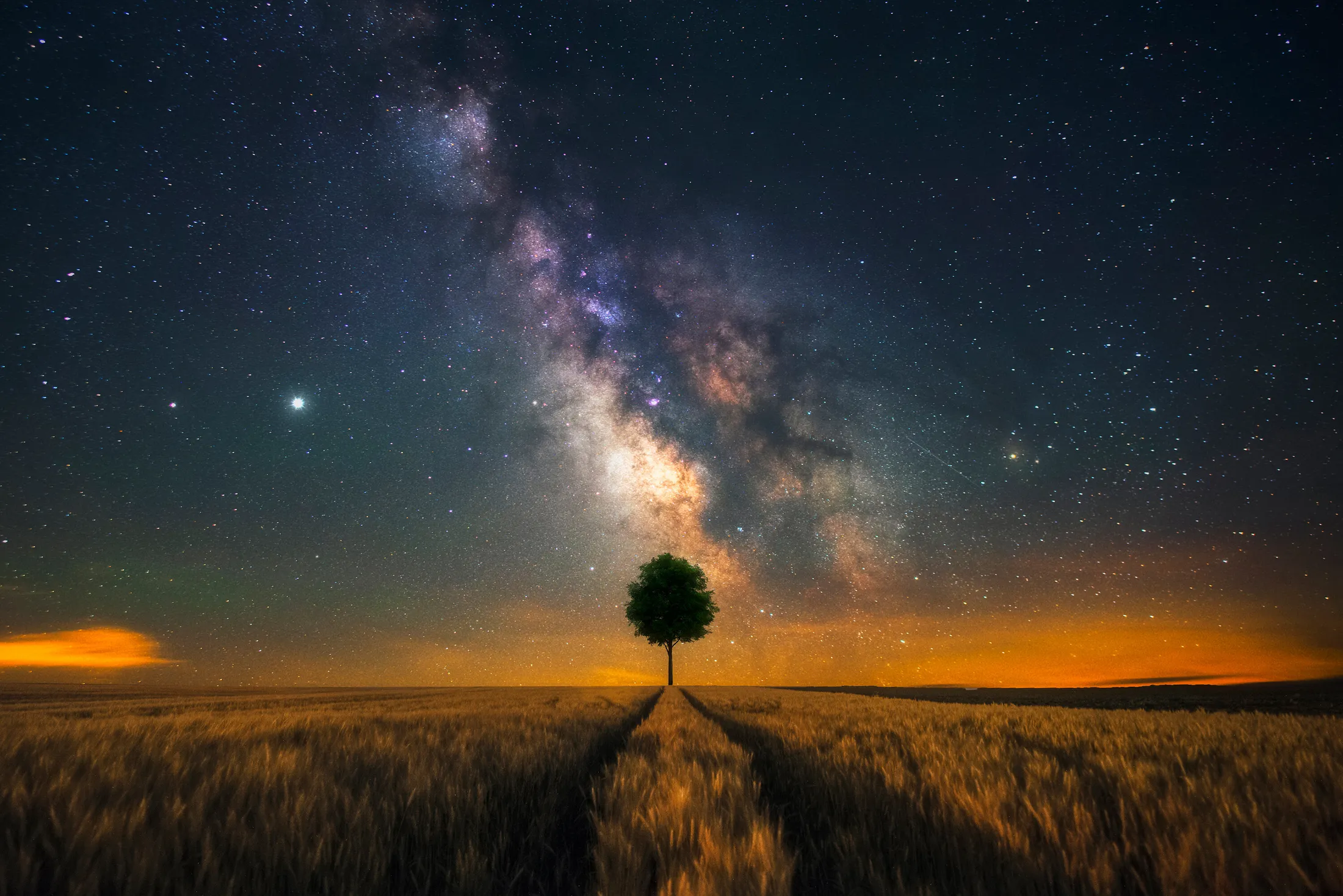 Field of dreams