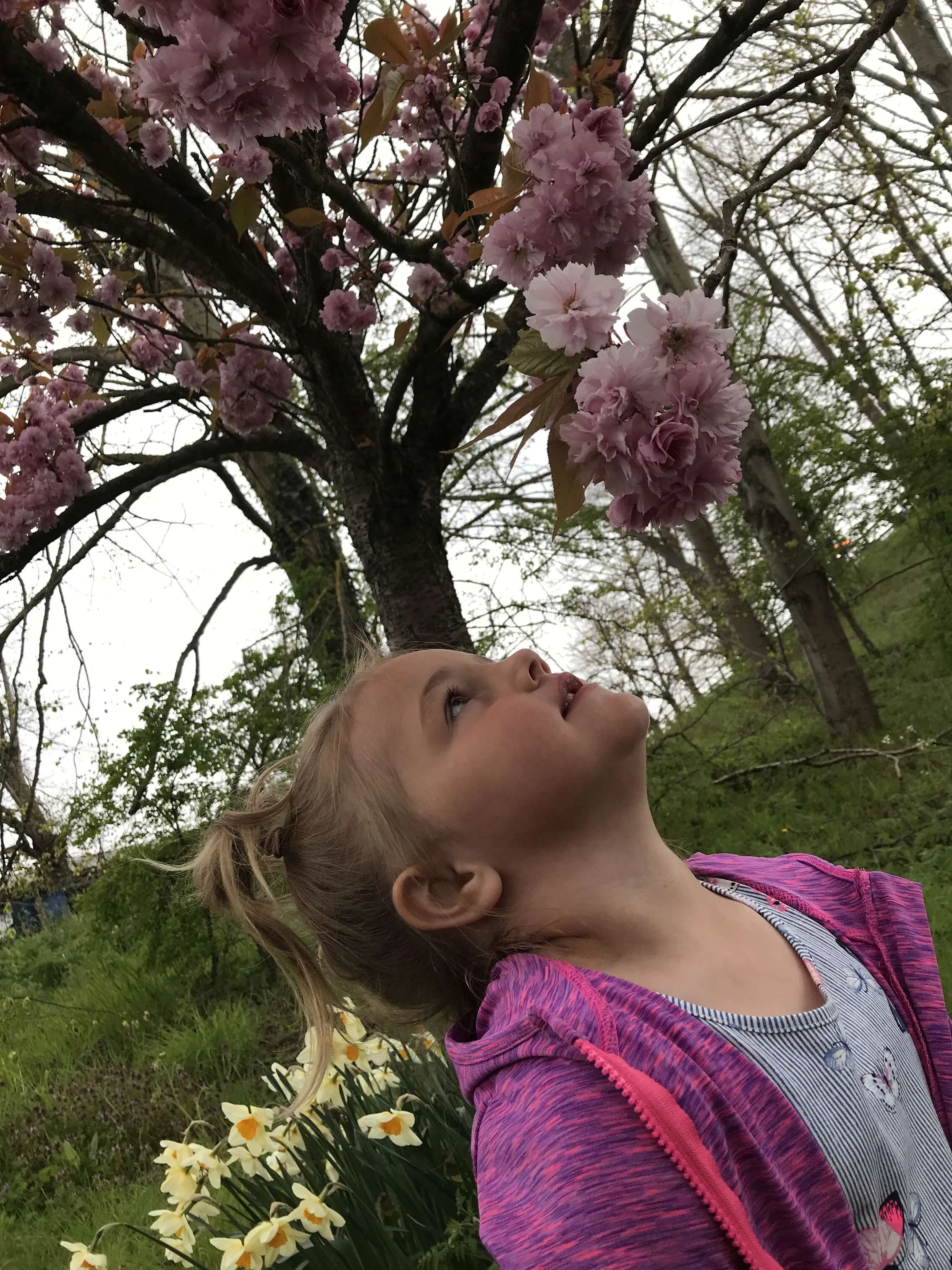 Blossom