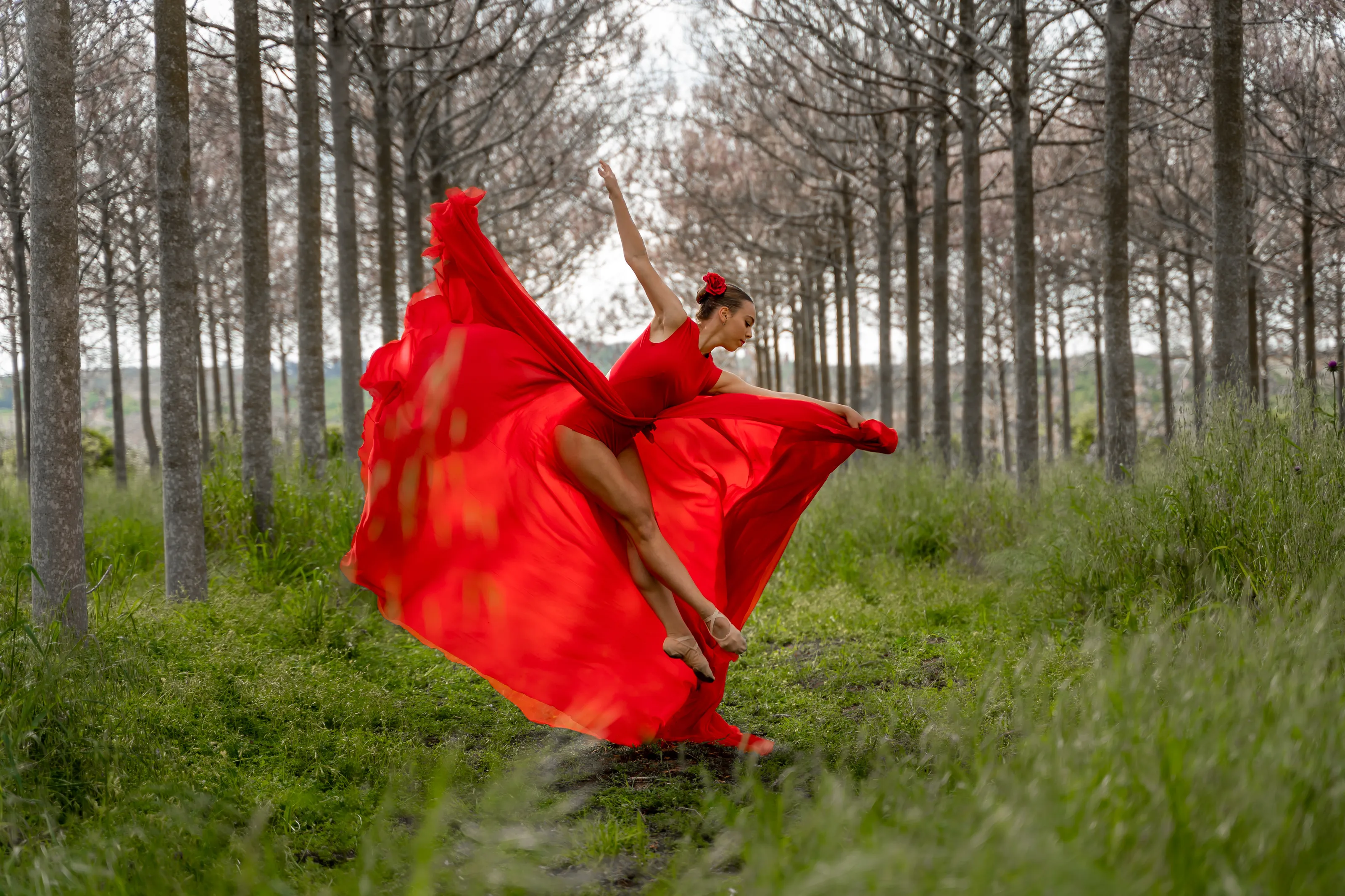 Little Red Riding Hood