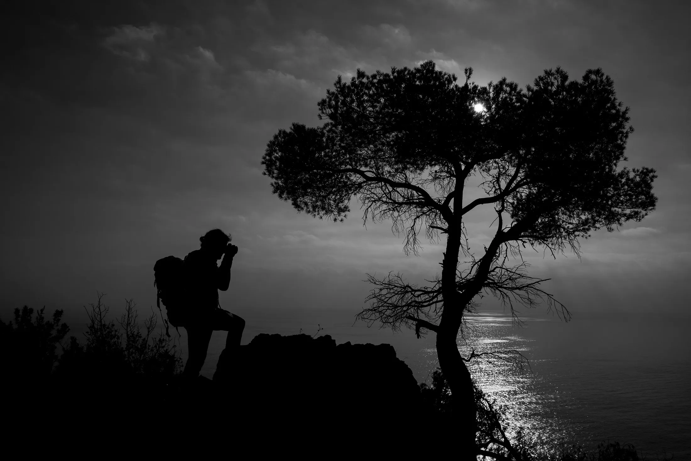 The photographer and the tree