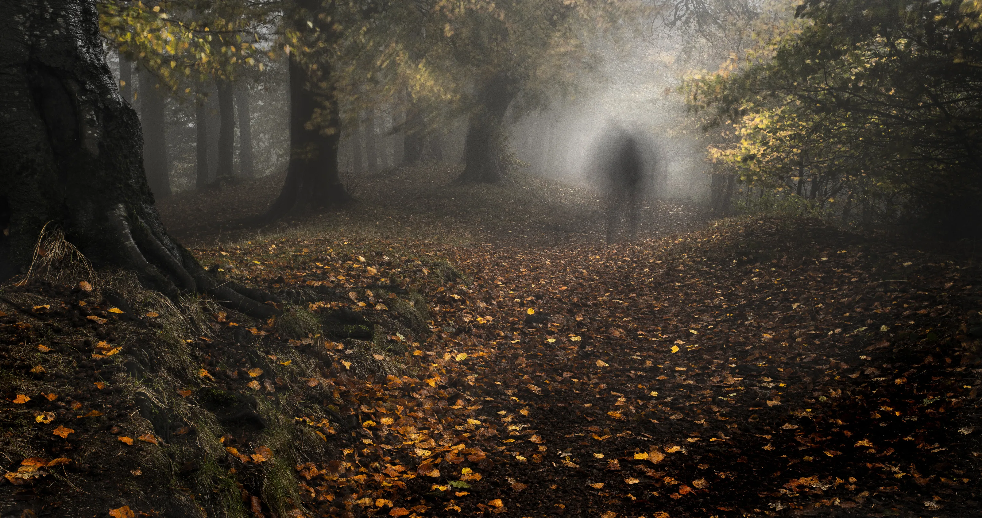 The spirit of Clent Hills