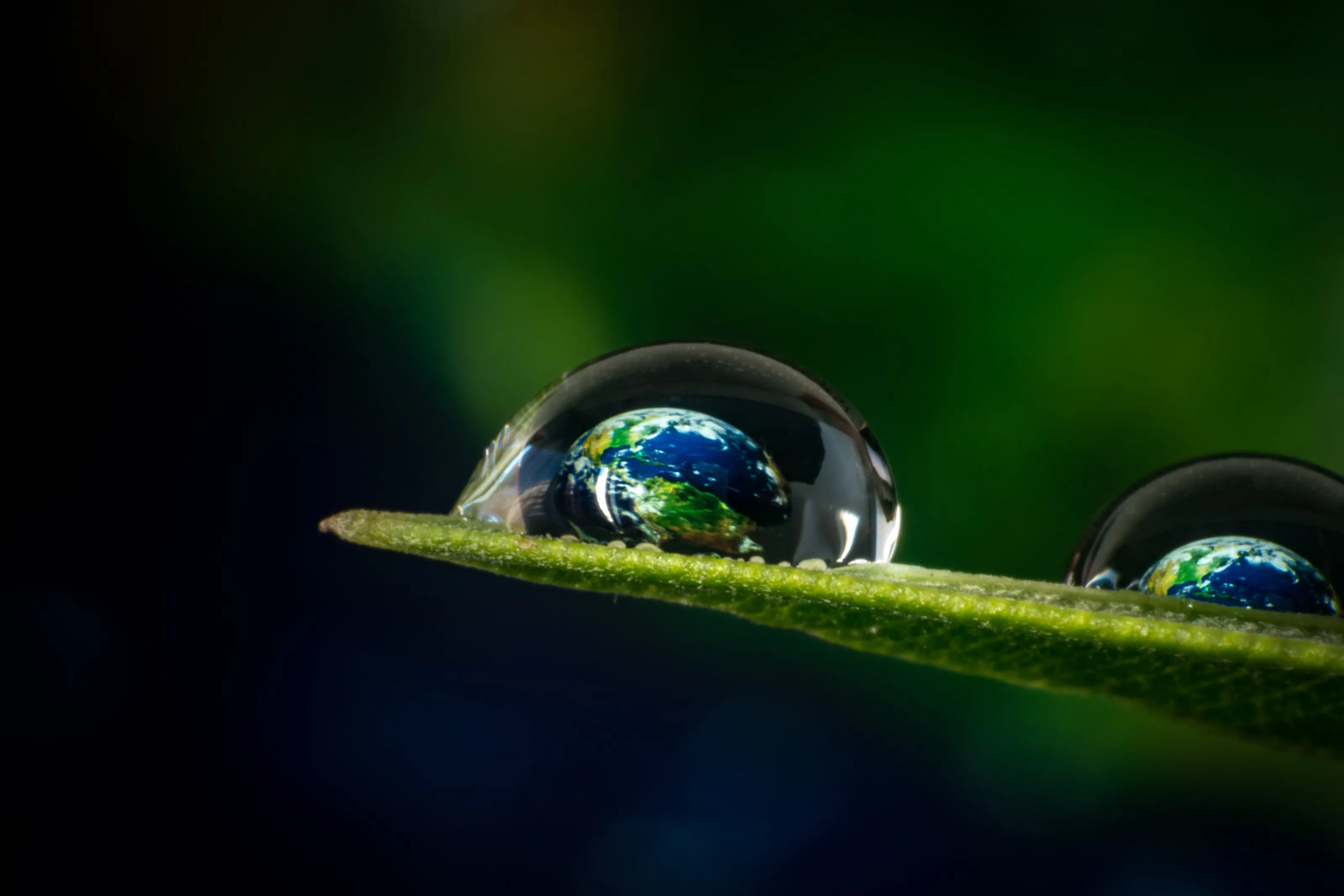 Orbital Gardening