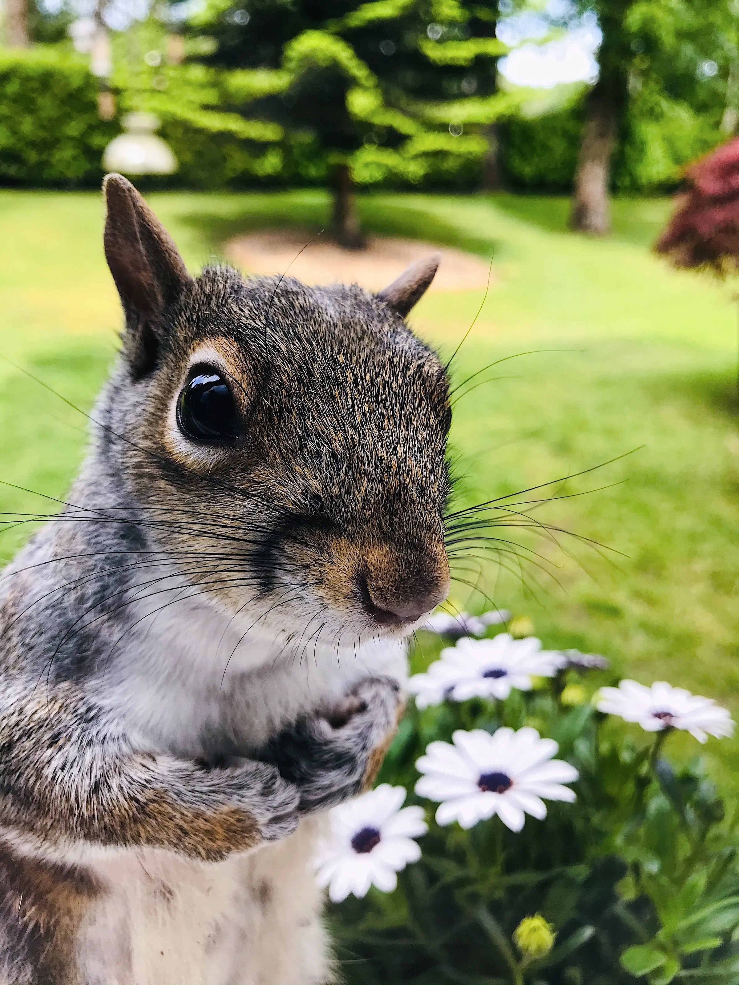 Friends and flowers