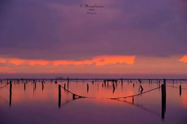 Colores de amanecer