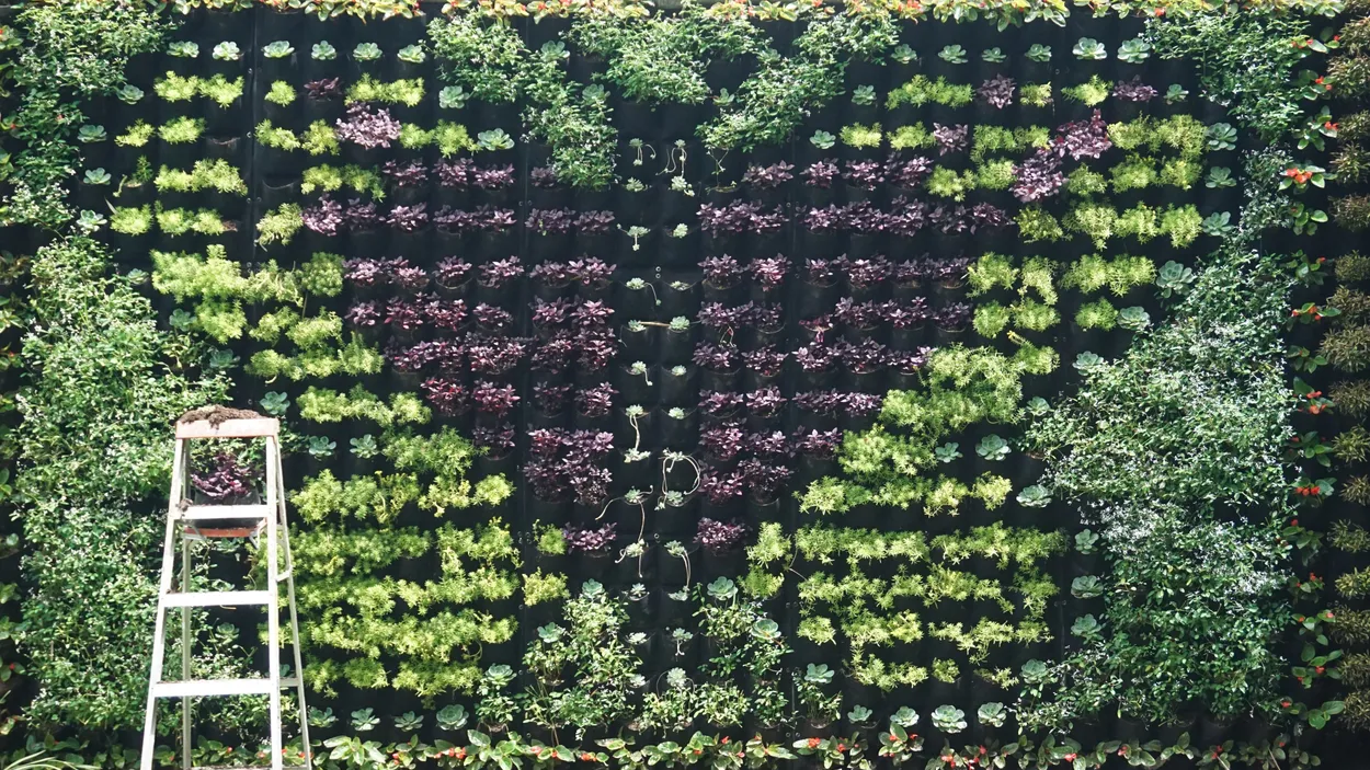 Entry 9866185