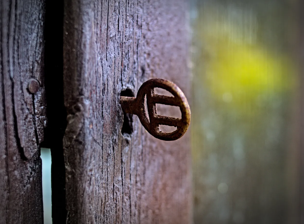 Entry 14011142