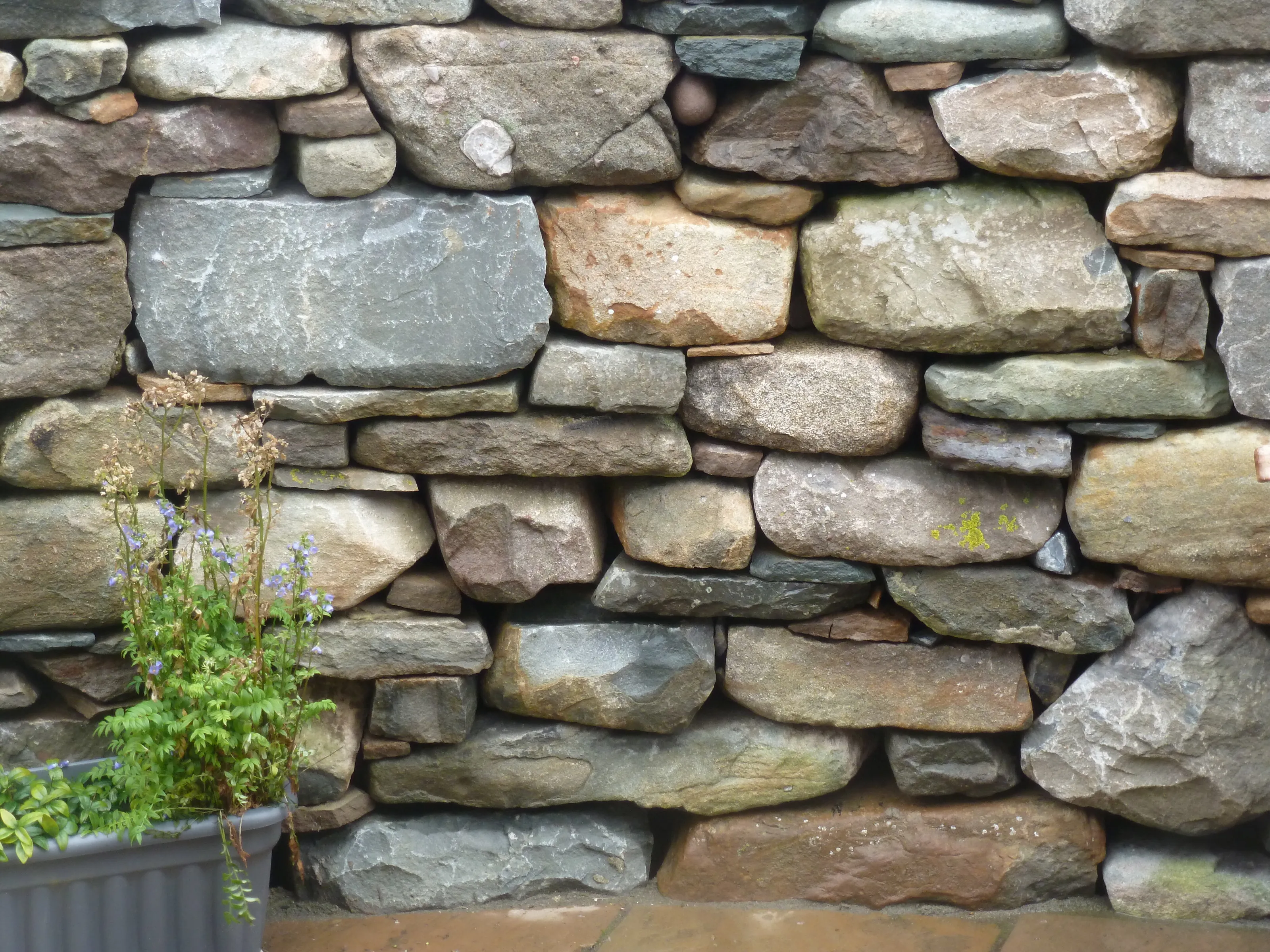 Wall