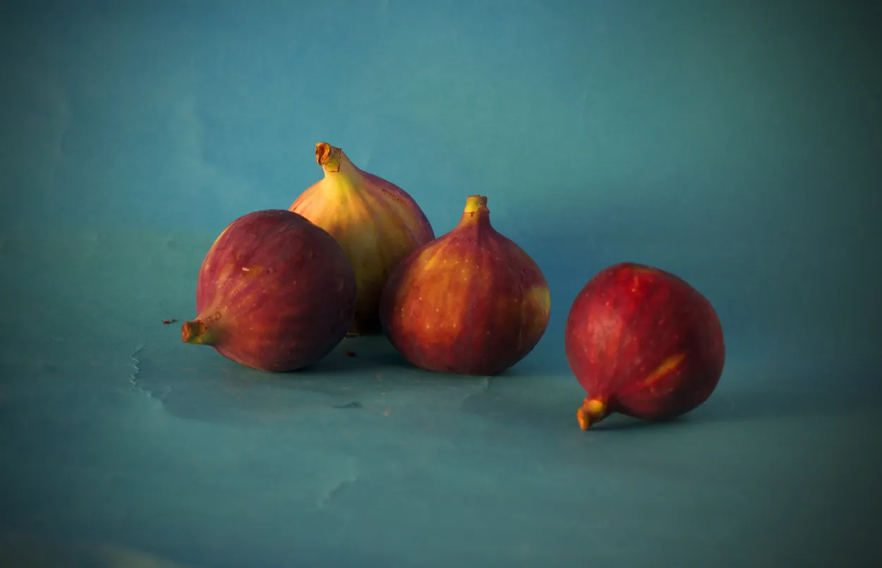 Entry 57929