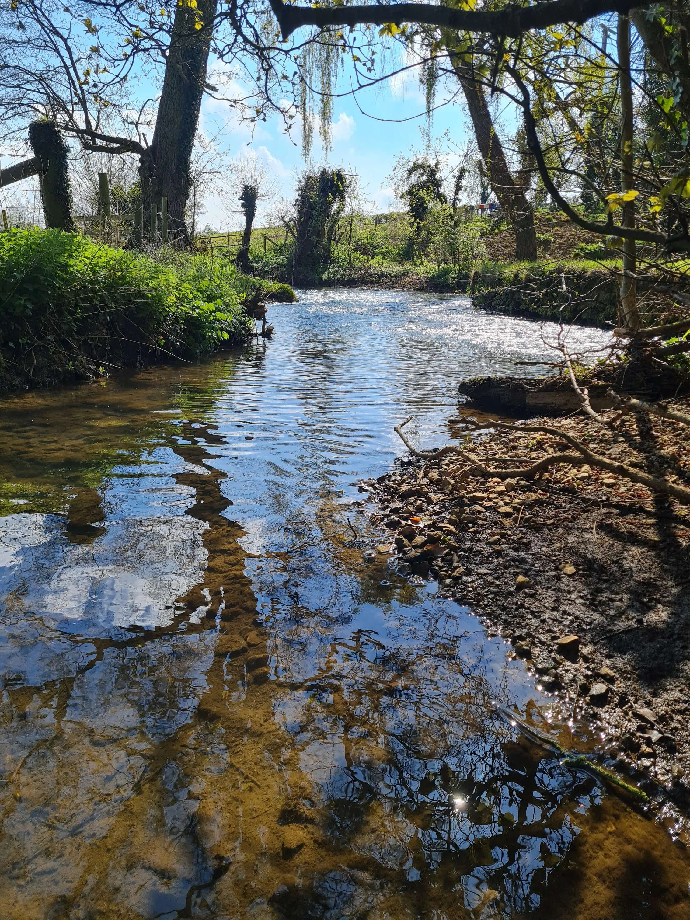 A Gentle Stream
