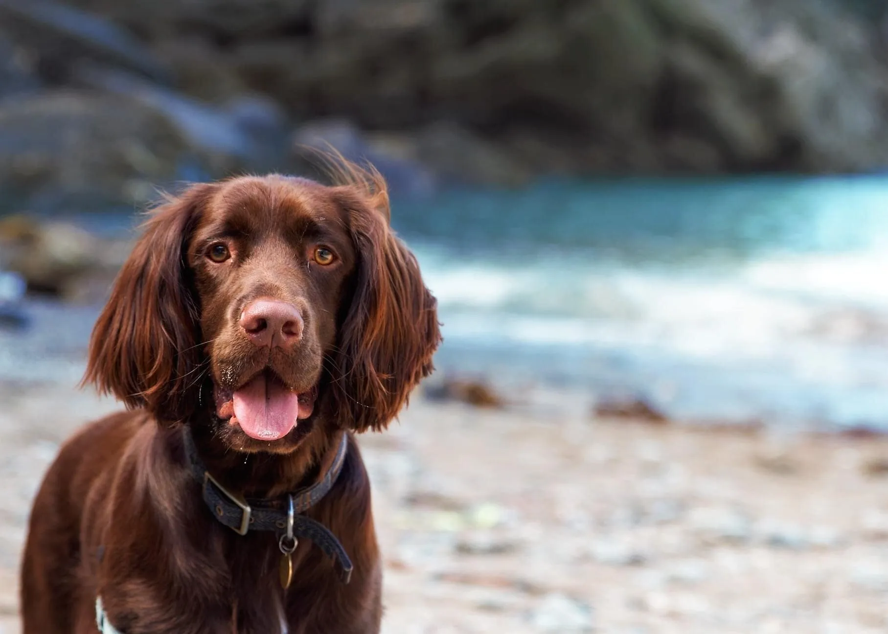 Beach beauty