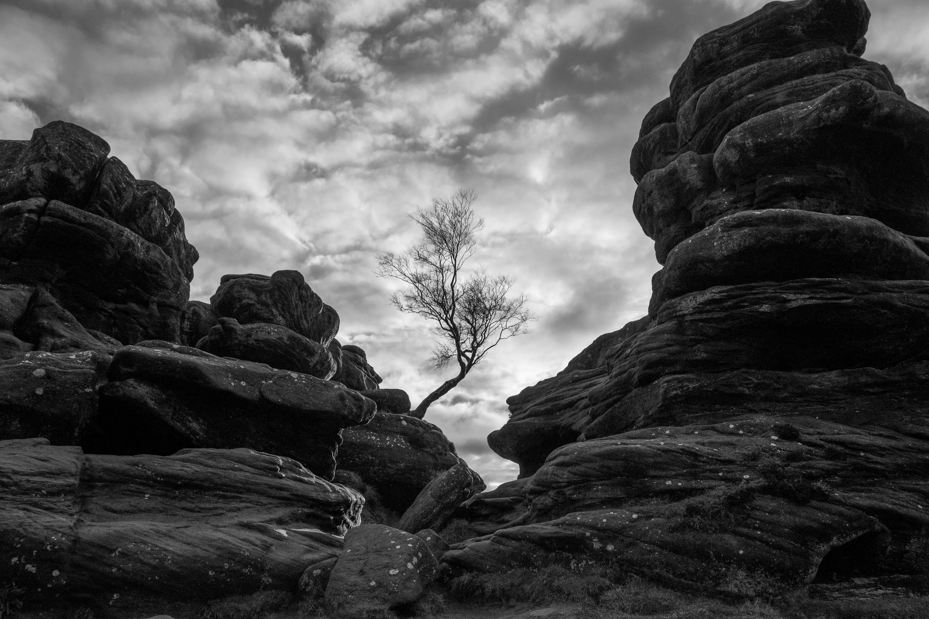 Perseverance of Nature