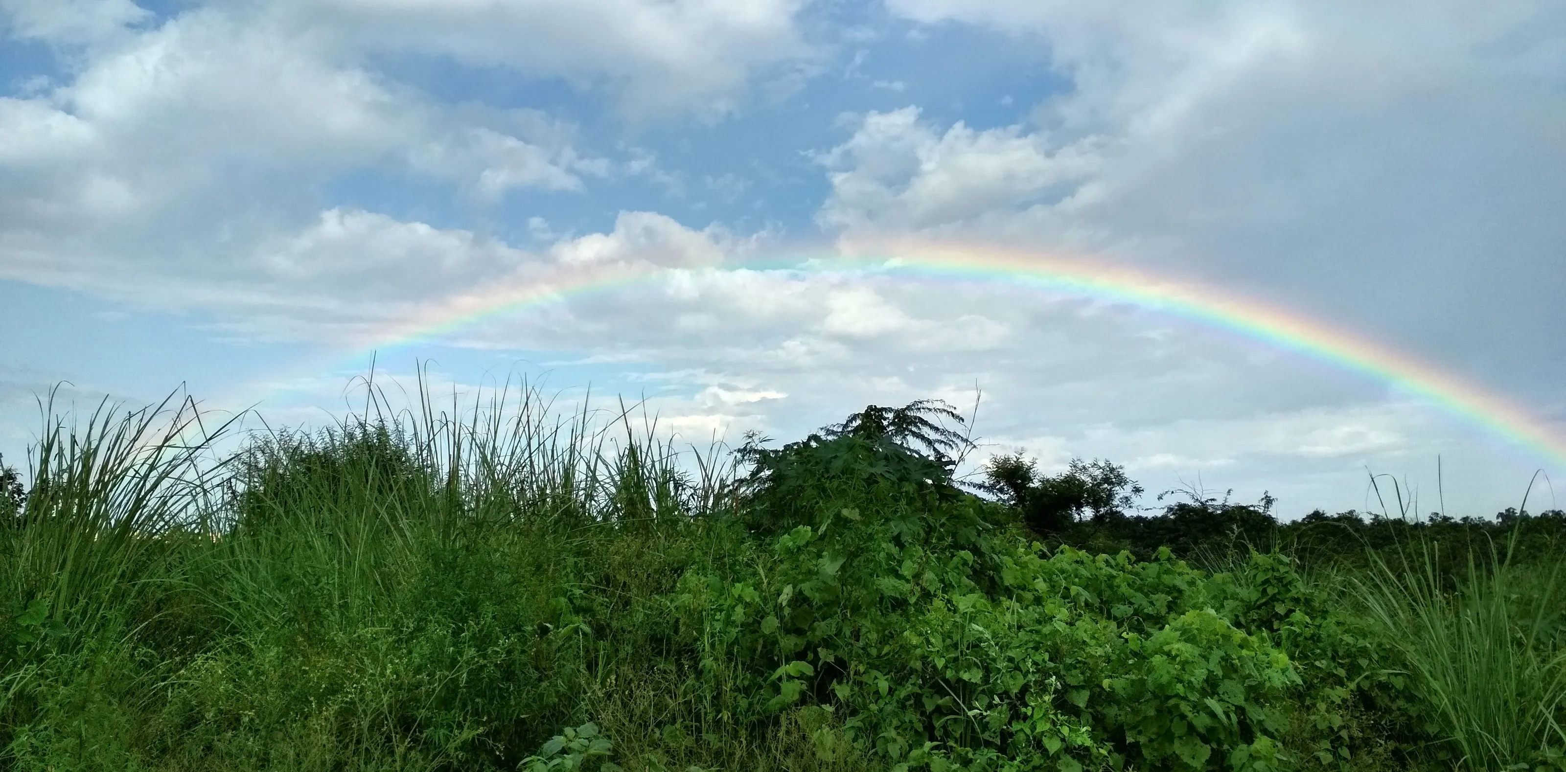 Nature and its Colours