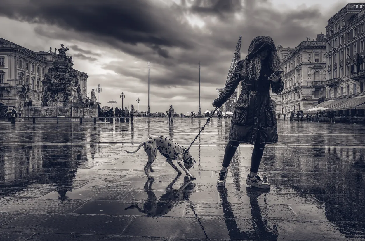 Entry 13123454