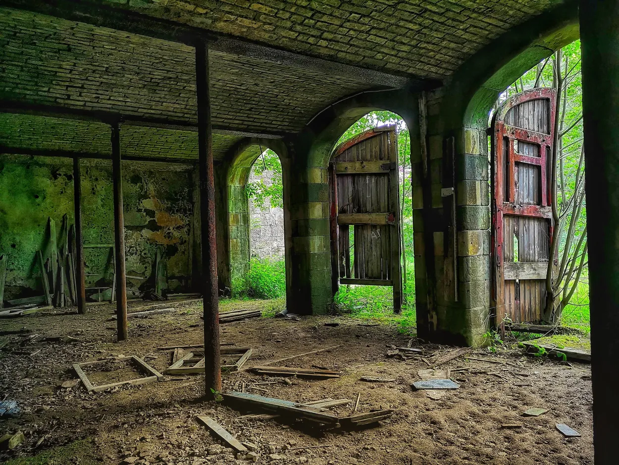 Entry 10062266
