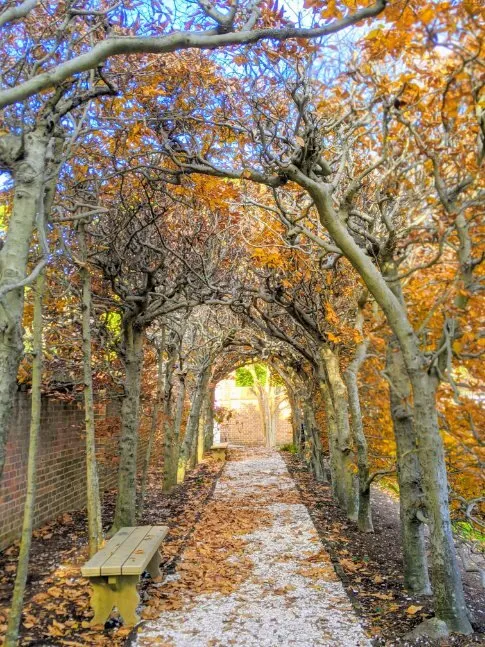 Arch of ages